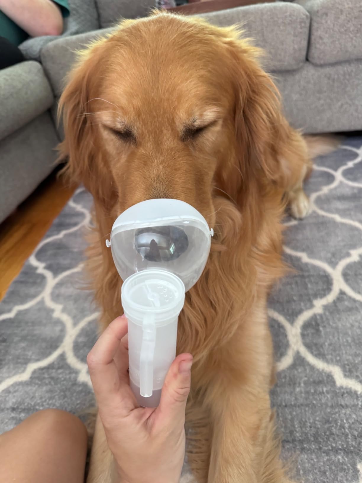 Canine Nebulizer Cup and Inhaler Mask for Cats and Dogs, Oxygen Mask for Pets (Not Including Nebulizer Machine) (S) customer photo 2