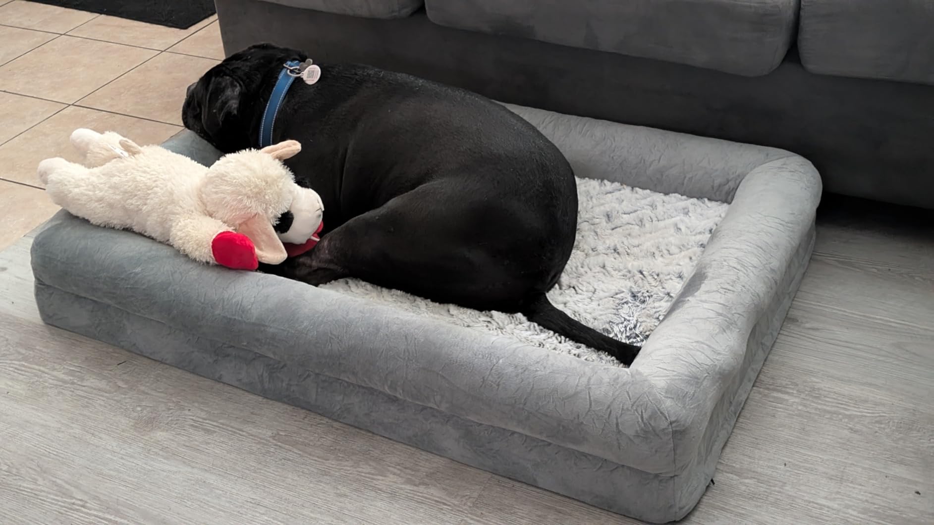 WNPETHOME XL Extra Large Dog Bed, Washable Dog Couch with Removable Waterproof Cover, Orthopedic Large Pet Sofa Bed with Bolster Sides for Sleeping customer photo 1