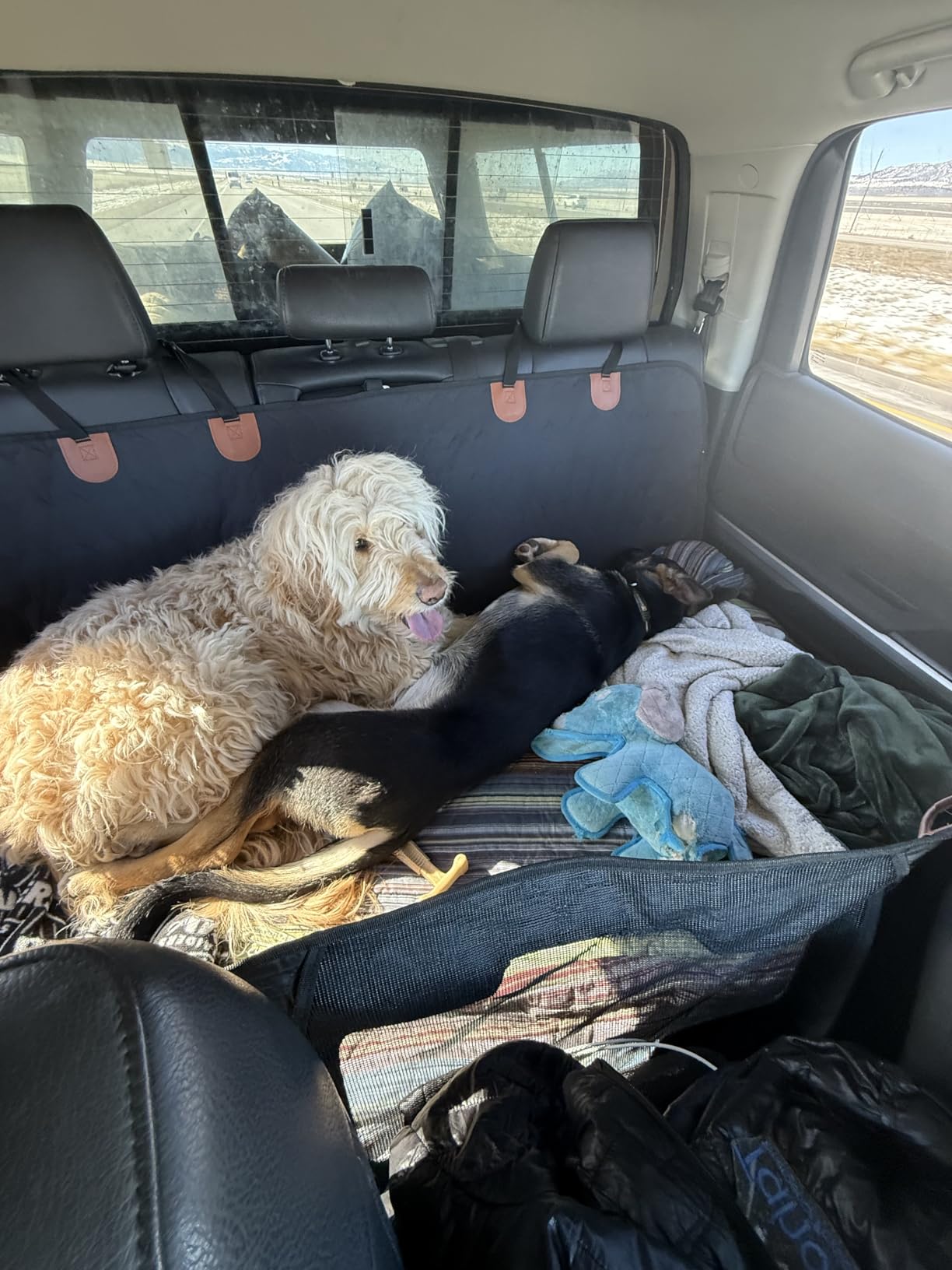 Chumajor Back Seat Extender for Dogs-Supports 400lb,Waterproof Dog Car Seat Cover Hard Bottom-Detachable,600D Heavy Duty Scratch Proof Nonslip Soft,Dog Hammock for Car,SUVs customer photo 2