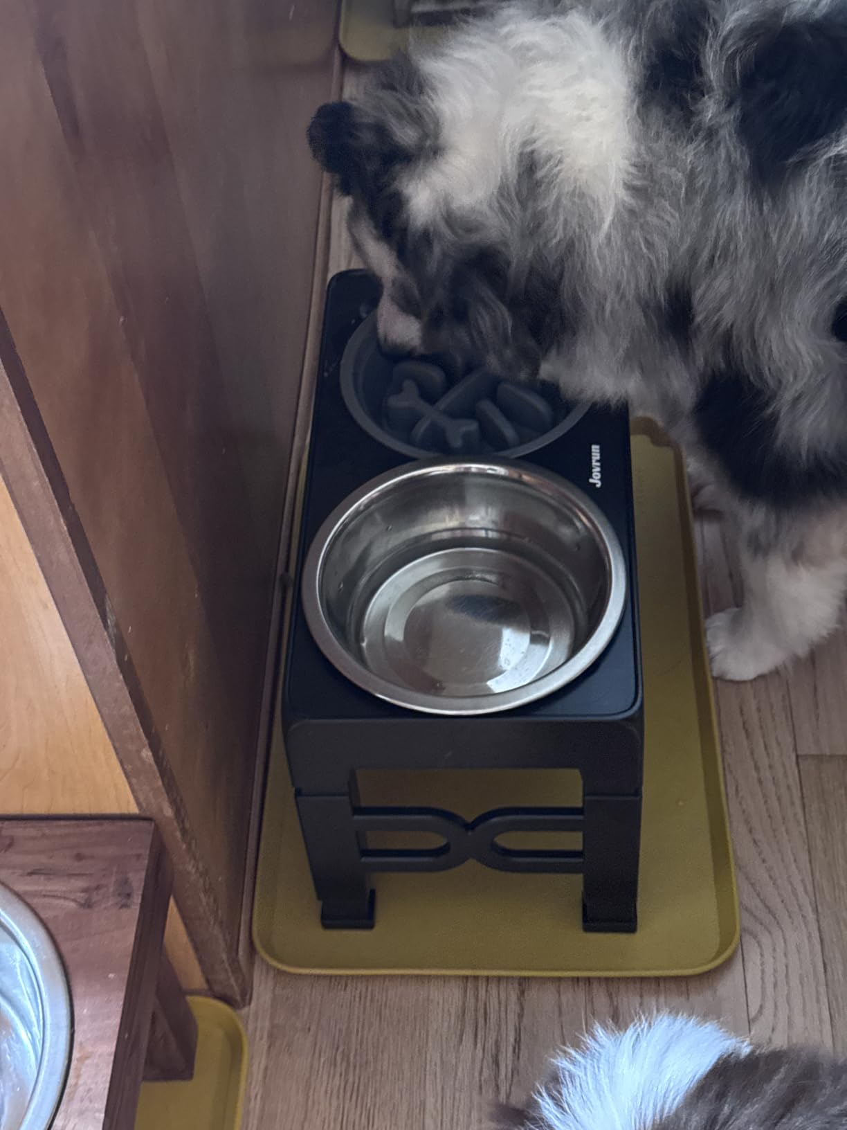 Jovrun Elevated Dog Bowls for Medium Large Size Dogs, Non-Slip Dog Feeder with 1 Stainless Steel Dishes & 1 Slow Feeder Bowl, 5 Heights Adjustable Raised Bowls to 3.15in-8.66in-9.84in-11.02in-12.2in customer photo 1