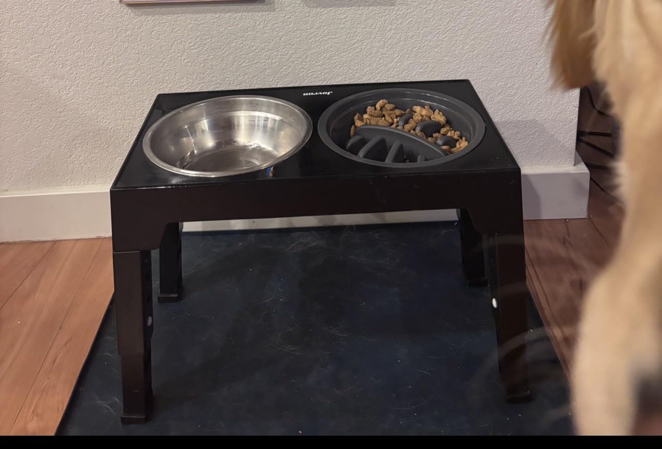 Jovrun Elevated Dog Bowls for Medium Large Size Dogs, Non-Slip Dog Feeder with 1 Stainless Steel Dishes & 1 Slow Feeder Bowl, 5 Heights Adjustable Raised Bowls to 3.15in-8.66in-9.84in-11.02in-12.2in customer photo 2
