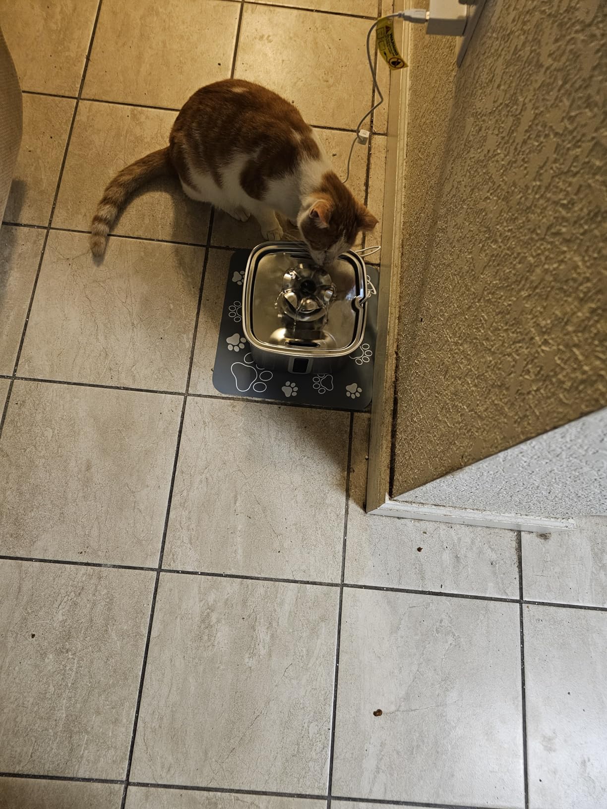 Veken Innovation Award Winner Stainless Steel Cat Water Fountain, 95oz/2.8L Automatic Pet Fountain Dog Water Dispenser with Replacement Filters & Silicone Mat, Gifts for Cats, Dogs (Silver) customer photo 2