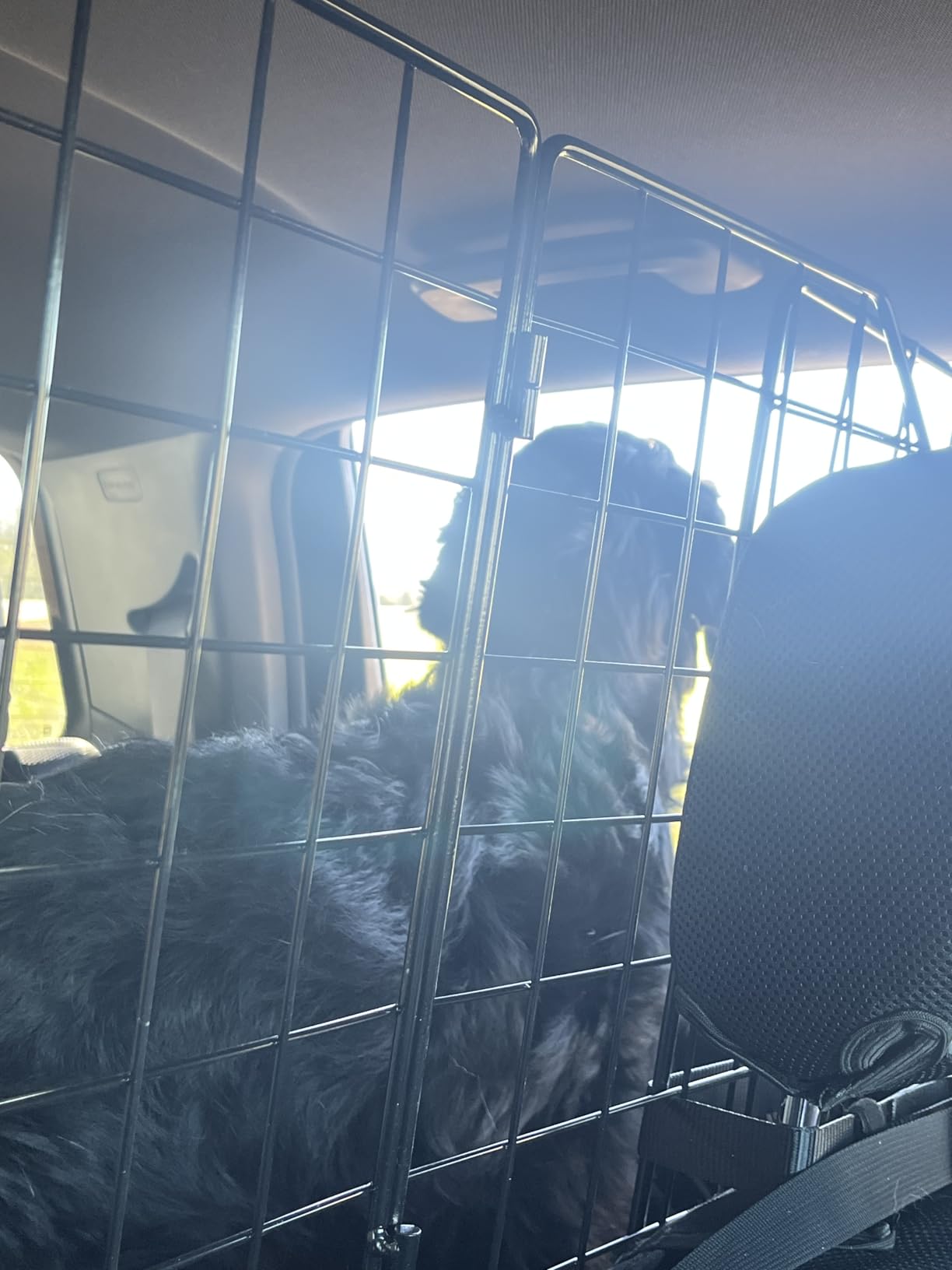 rabbitgoo Dog Car Barrier for SUVs, Adjustable Large Pet Gate, Universal-Fit Divider Cargo Net, Heavy-Duty Wire Mesh Dog Barrier SUV, Van Vehicles Subaru Car Accessories Safety Travel, Triple Folding customer photo 1