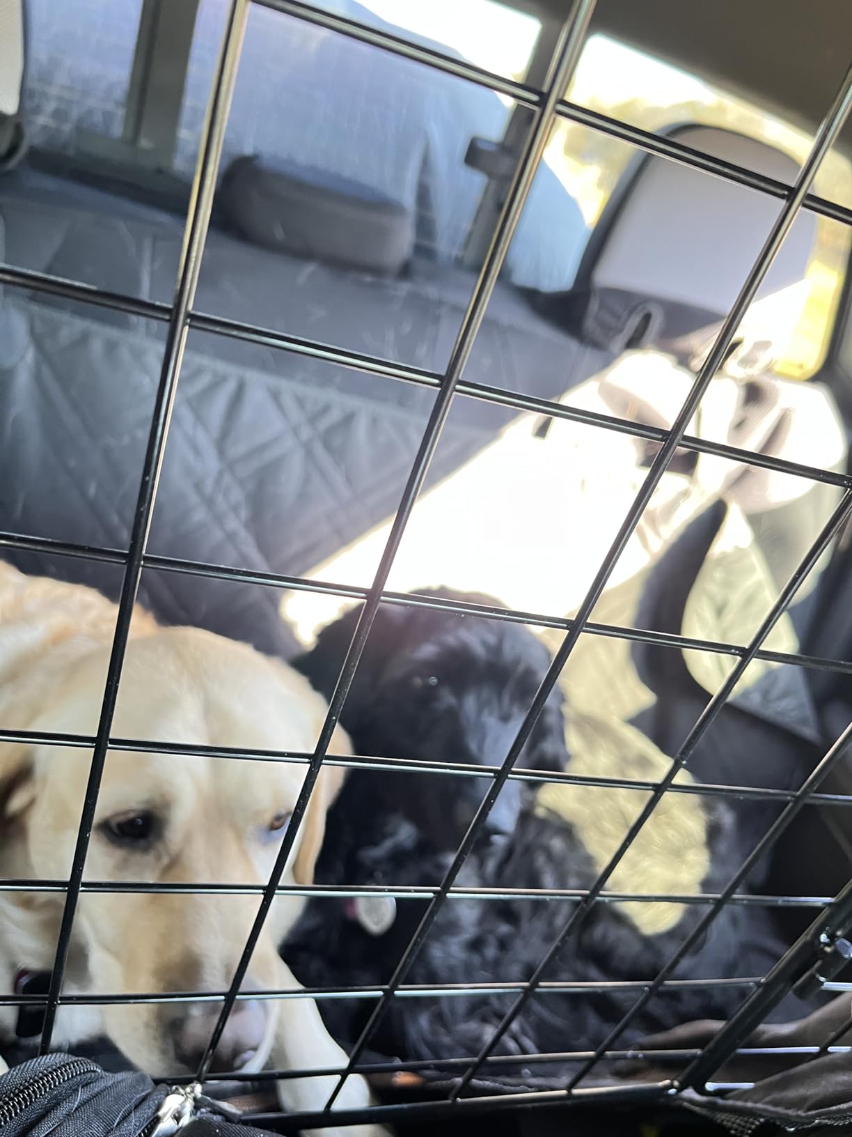 rabbitgoo Dog Car Barrier for SUVs, Adjustable Large Pet Gate, Universal-Fit Divider Cargo Net, Heavy-Duty Wire Mesh Dog Barrier SUV, Van Vehicles Subaru Car Accessories Safety Travel, Triple Folding customer photo 2