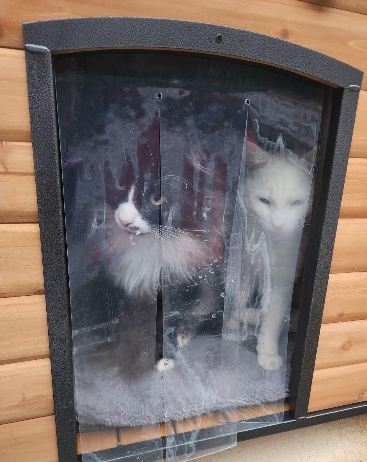 Aivituvin Heated Outdoor Dog House with Insulated Liner & Heating Pad Waterproof Dog Kennel for Winter Cat House for Small & Medium & Large Dogs, Cats, Unique All-Around Iron Frame customer photo 2