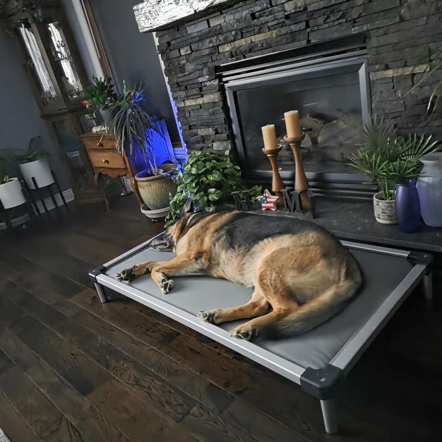 FXW TitanNest Chew-Proof Elevated Dog Bed, Raised Cot for Indoor/Outdoor/Camping Use, Durable & Washable Padded Pet Bed for Medium Dogs, 42.0