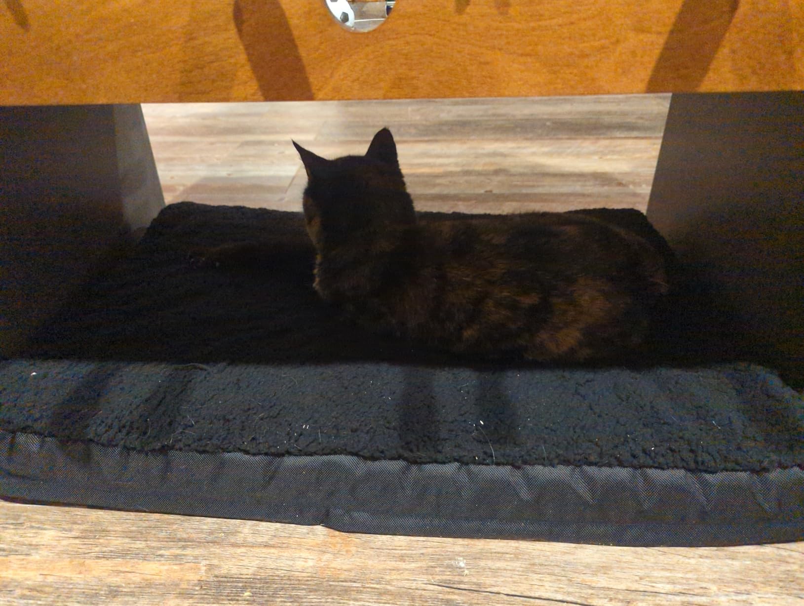 Bedsure Orthopedic Cooling Dog Bed for Crate - 35x22 Inches Large Comfy Breathable Summer Beds with Removable Washable Cover, Cold Flat Egg Crate Foam Pet Mat, Suitable for Pet Up to 50 lbs customer photo 2