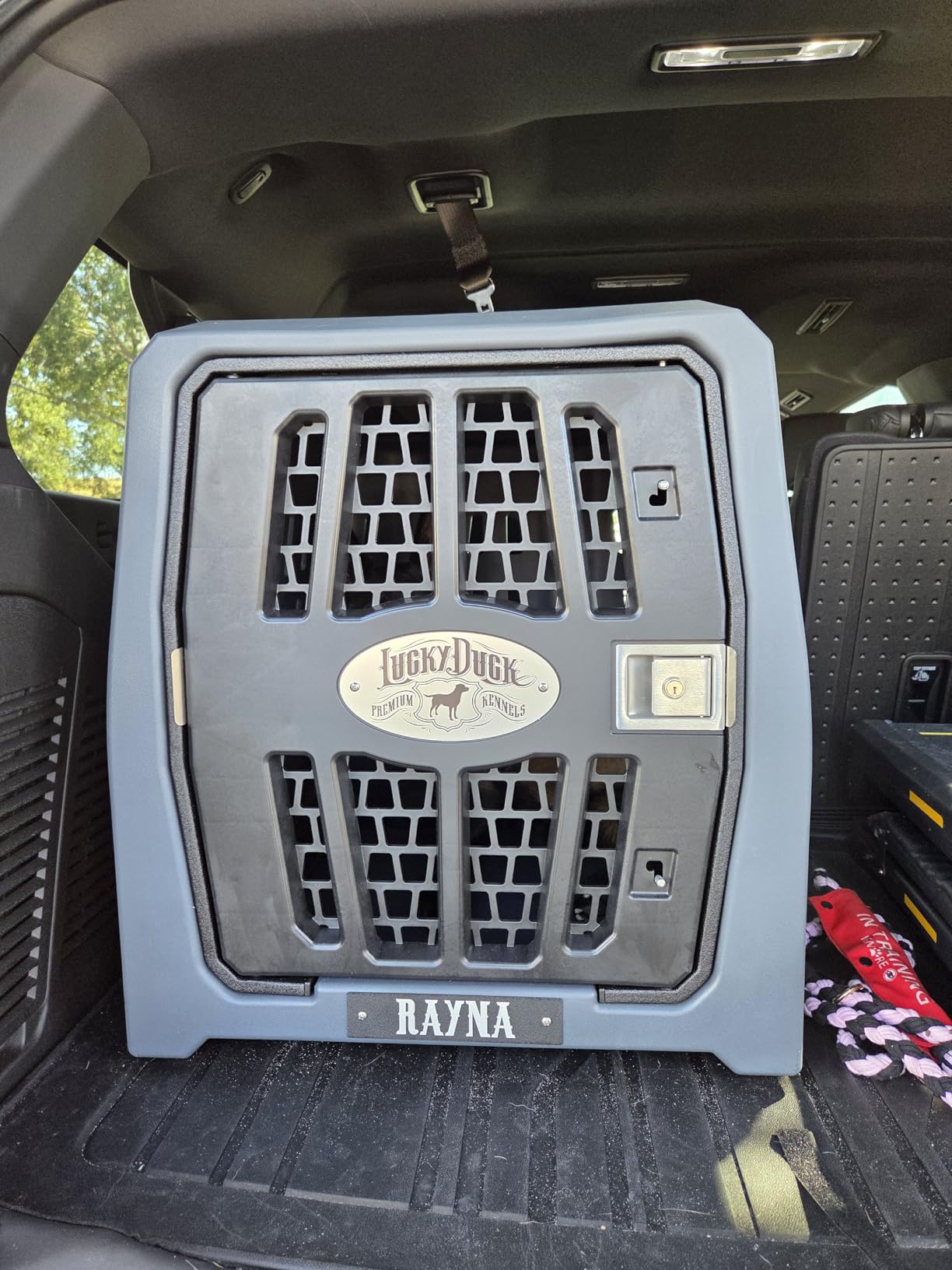 Lucky Dog Kennel, Durable Crash Tested Portable Dog Crates, Medium customer photo 1
