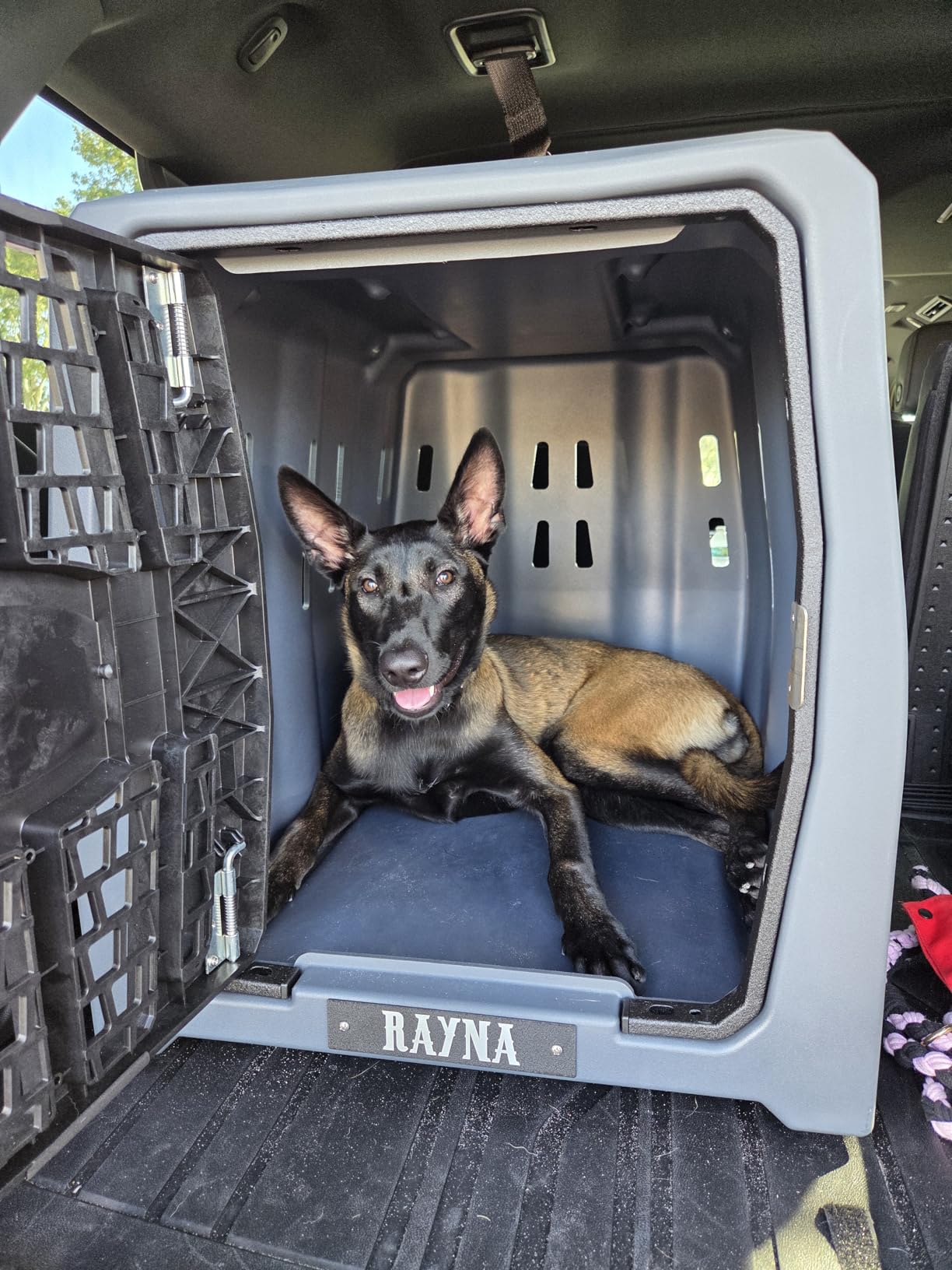 Lucky Dog Kennel, Durable Crash Tested Portable Dog Crates, Medium customer photo 2