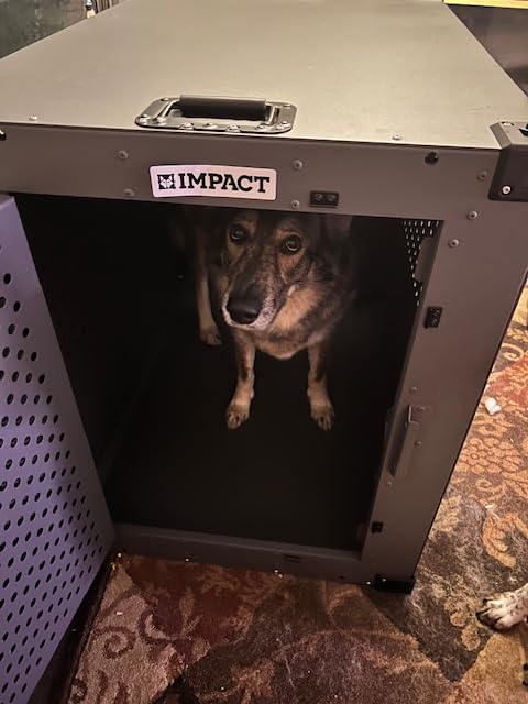 Impact Indestructible High Anxiety Dog Crate for Medium Dogs - Heavy Duty Escape Proof Indoor Dog Kennel with Powder-Coated Aluminum - Ideal for Escape Artists (White, 30