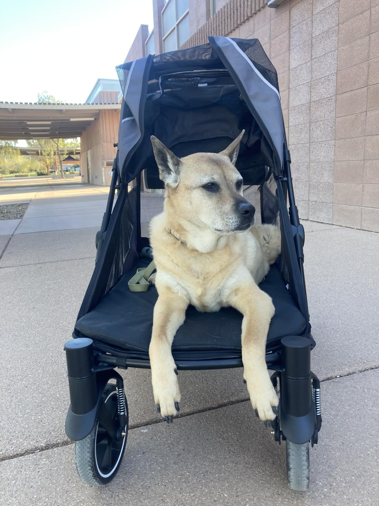 Dog Stroller for Medium/Large Dogs One-Click Folding, Extra Large Pet Stroller for 2 Dogs with Storage Pocket & Shock Absorption, Up to 130 lbs customer photo 1