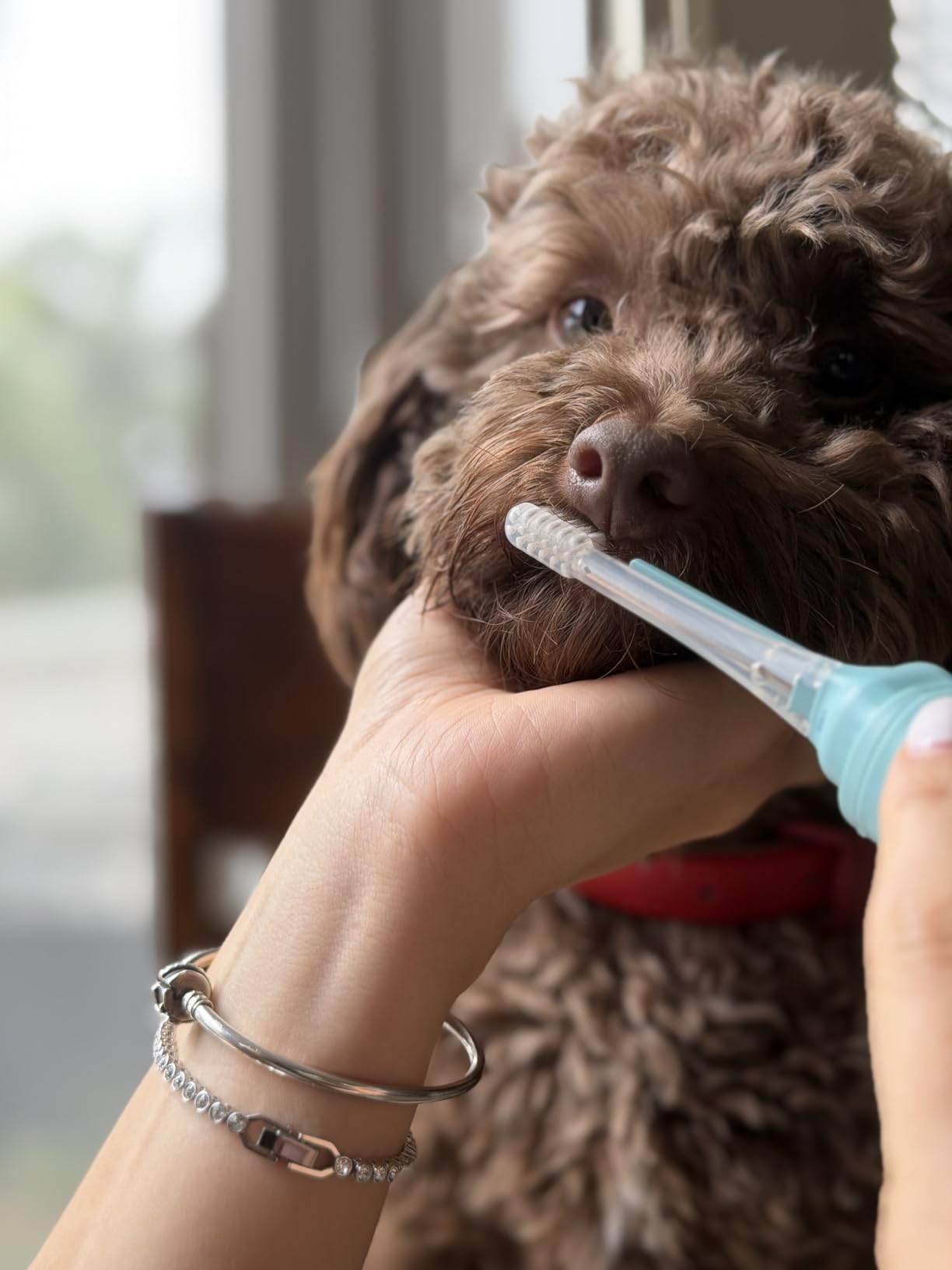 Dog Toothbrush | No-Vibration or Noise, Electrolytic Technology | Improves Oral Health & Reduces Bad Breath | Cleaning Brushing Kit | No Toothpaste Needed | Dog Teeth Cleaning Kit customer photo 1