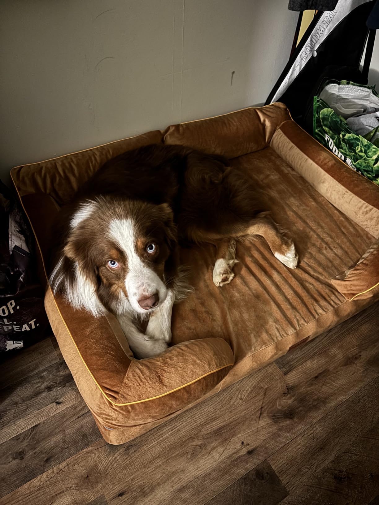 CWAWZ Extra Large Dog Bed, Orthopedic Dog Bed with Cooling Gel Memory Foam, Waterproof XL Pet Bed with Removable Washable Cover, 42