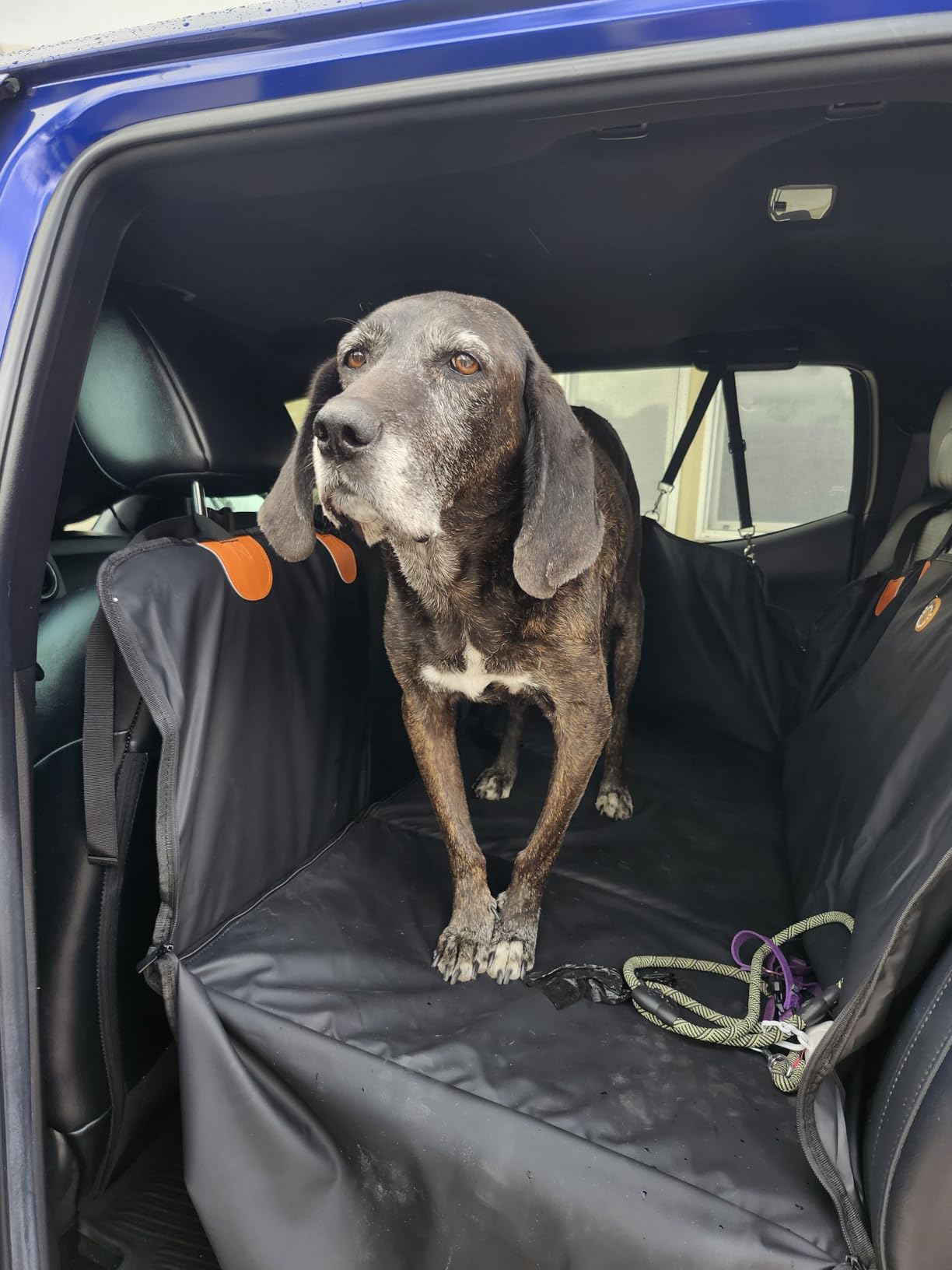 MYJAQI Back Seat Extender for Dogs, Waterproof Dog Car Seat Cover for Back Seat with Hard Bottom, 2026 Upgraded Material, Anti Scratch, Safer, Easy to Use and Clean, Holds 400lbs customer photo 1