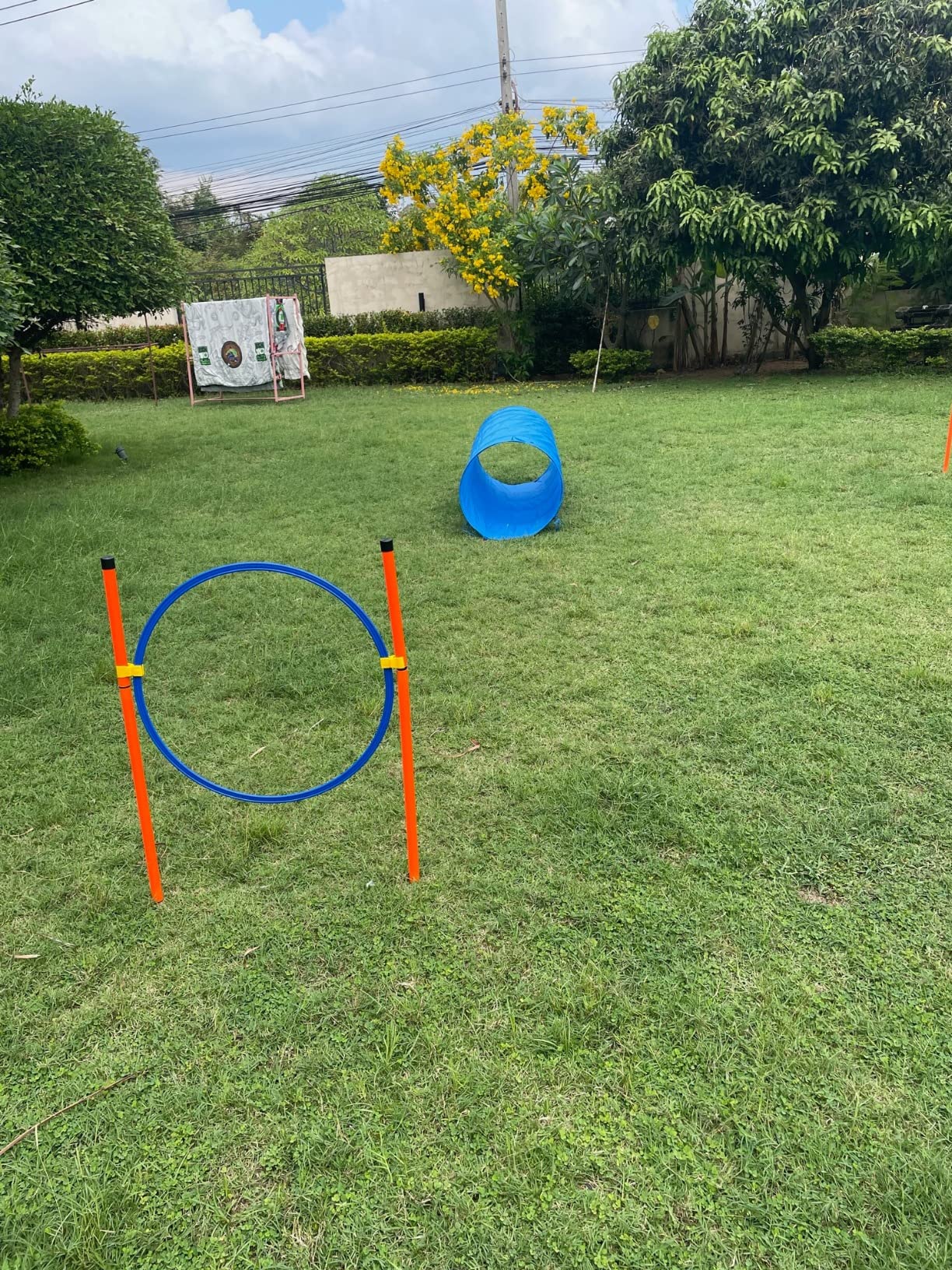 XiaZ Dog Agility Course Backyard Set, Dog Obstacle Course Training Starter Kit Pet Outdoor Game with Tunnel, Agility Hurdle, Weave Poles, Jump Ring, Pause Box, Collapsible Dog Bowls and Storage Bag customer photo 2