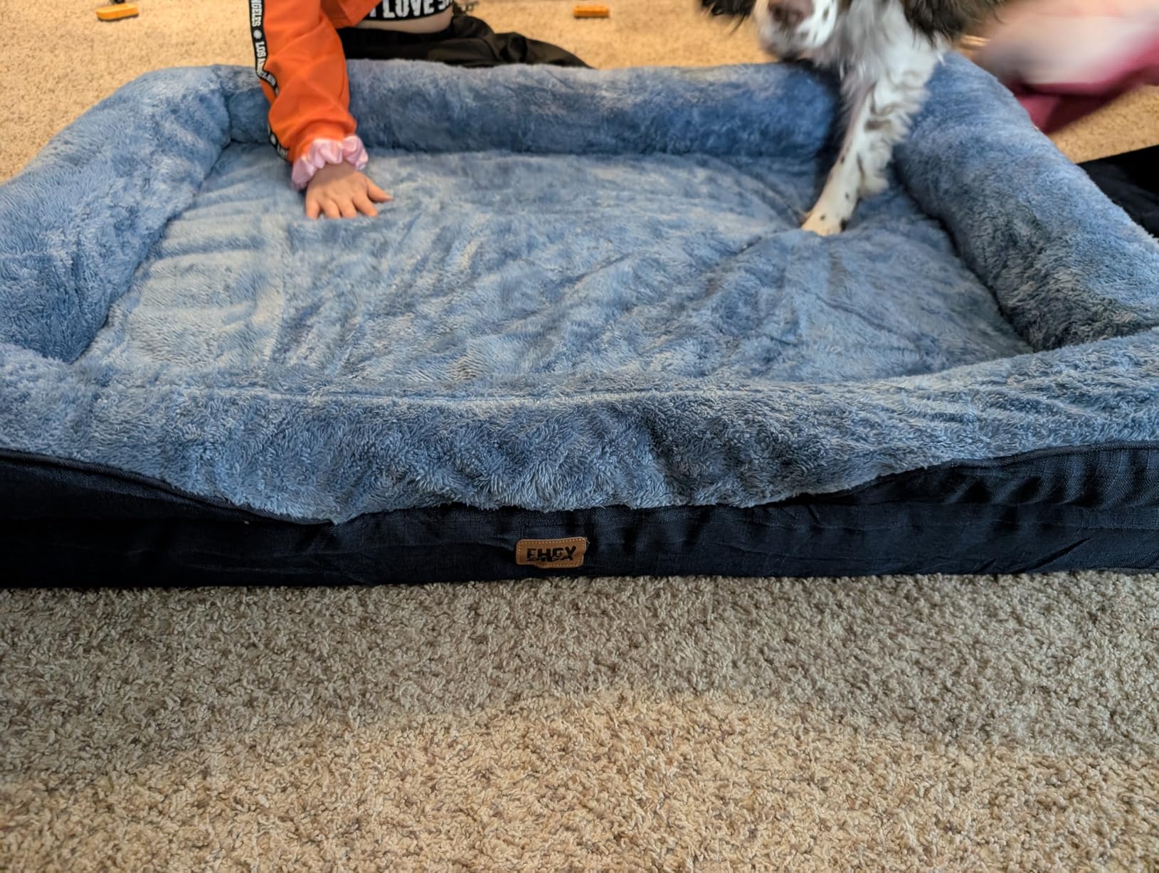 EHEYCIGA Orthopedic XL Dog Bed for Large Sized Dog, 42x30x7.5 Inch Extra Large Memory Foam Dog Couch Bed with Sides, Waterproof Liner & Washable Removable Cover, Bolster Pet Sofa, Grey customer photo 1