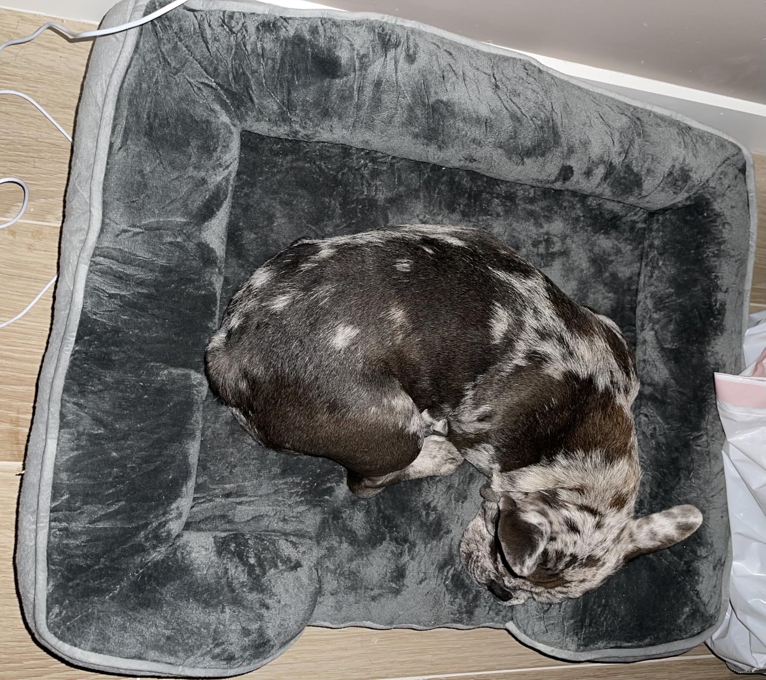 Spotted Play Orthopedic Dog Bed with Sides - Dog Sofa Beds for Medium Dogs, Supportive Foam Pet Couch Bed with Washable Removable Cover, Waterproof Lining and Non-Slip Bottom, Grey - M customer photo 1