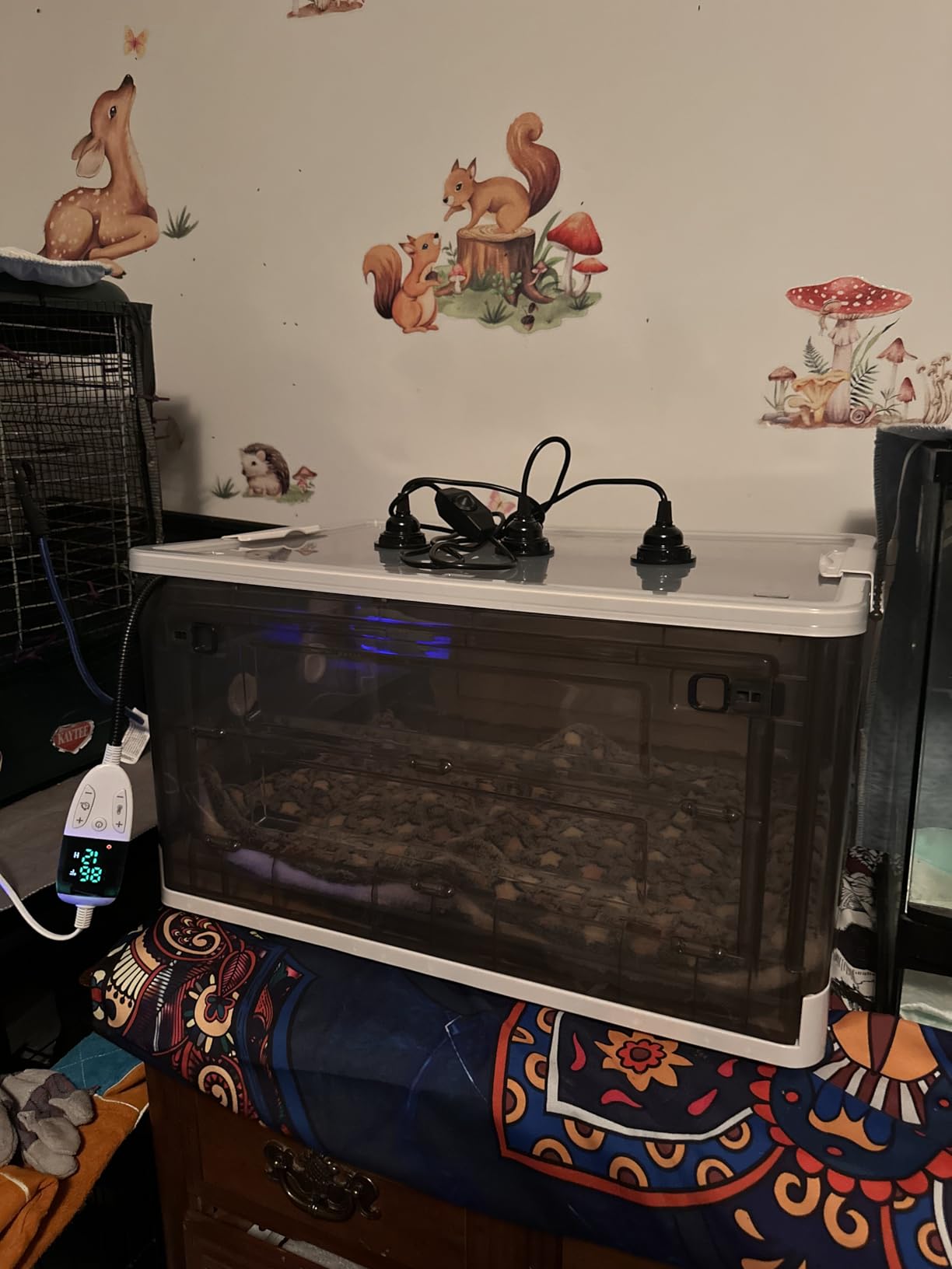 Pet Incubator for Puppies & Kittens - Newborn Mammal Incubator customer photo 1