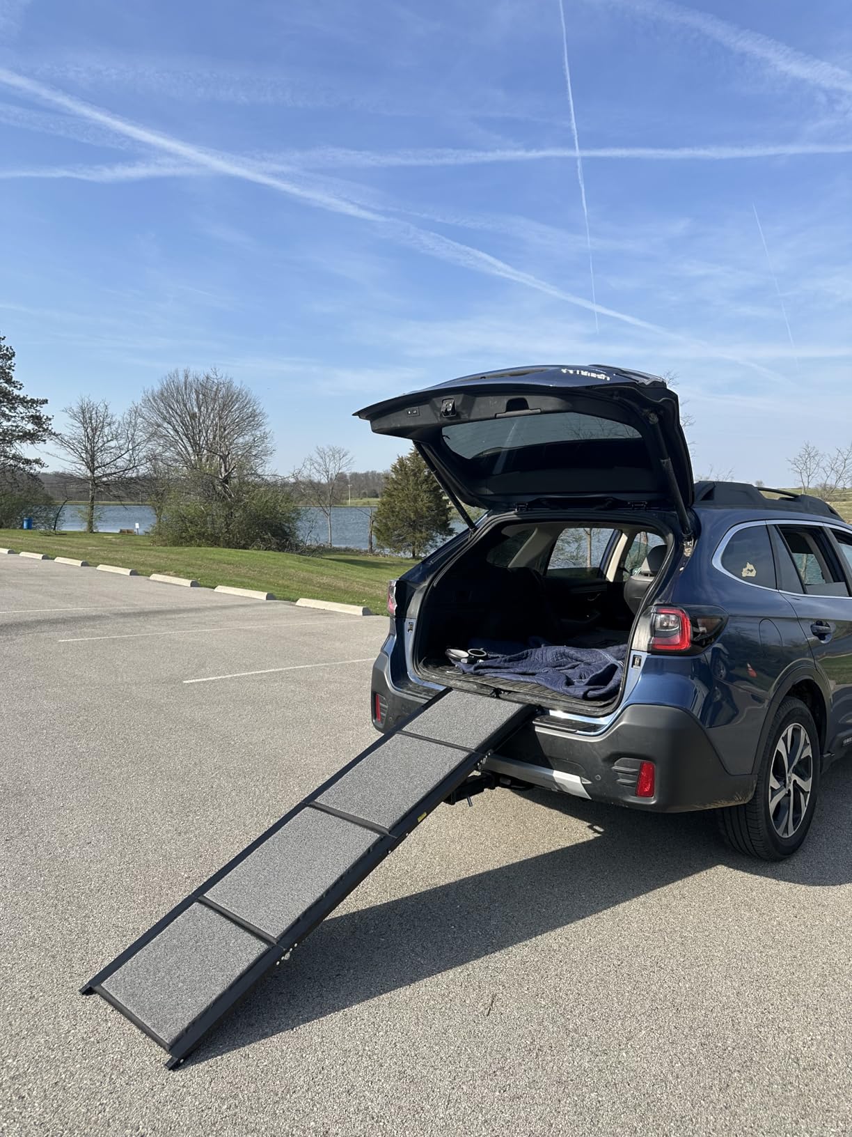Dog Ramp for Car 71