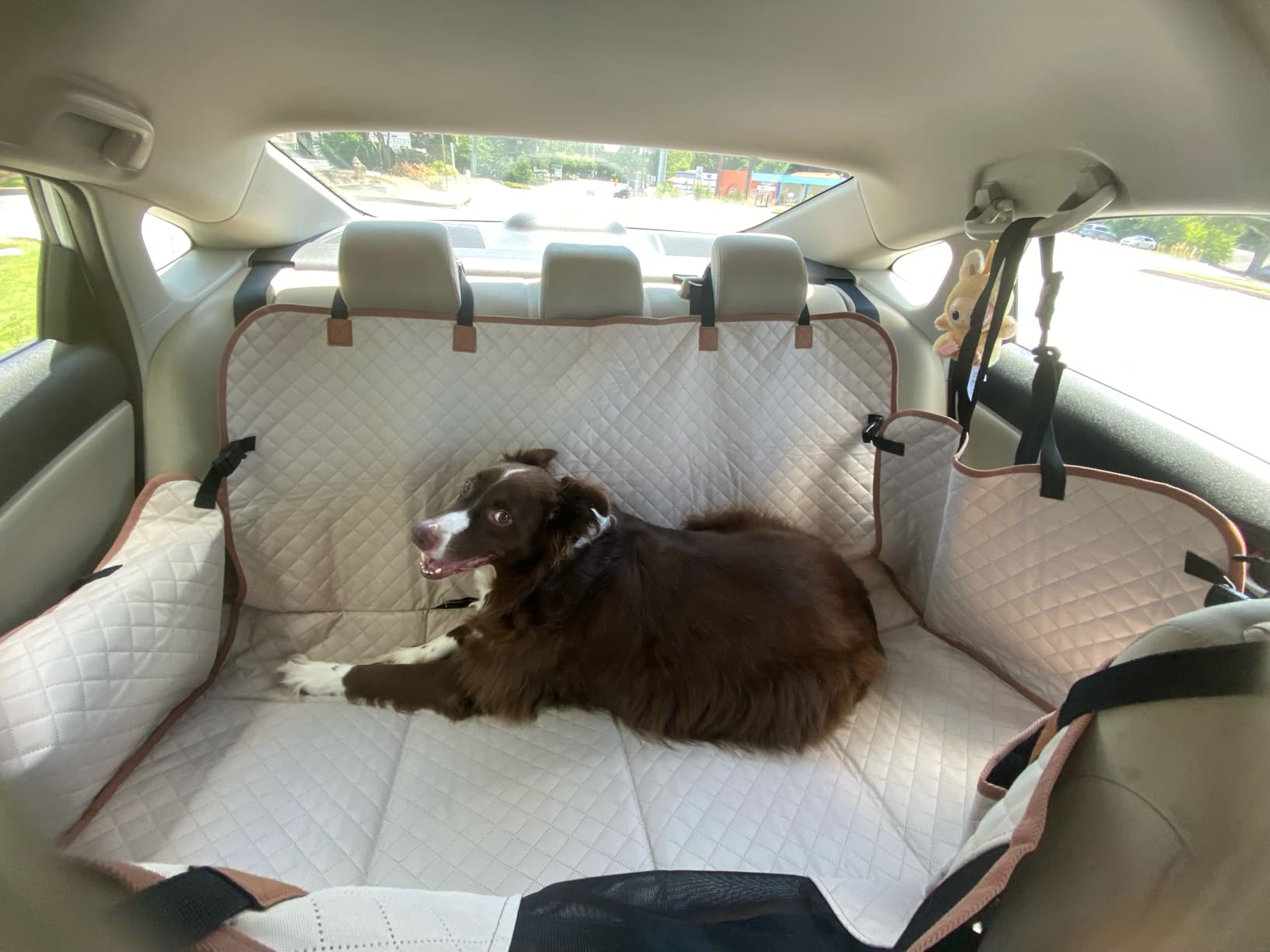 Hard Bottom Dog Car Seat Cover for Back Seat, Holds 420lbs - Waterproof Sturdy Nonslip Hammock for Cars/Trucks/SUVs - Easy to Clean & Safe Backseat Extender for Large Dogs customer photo 2