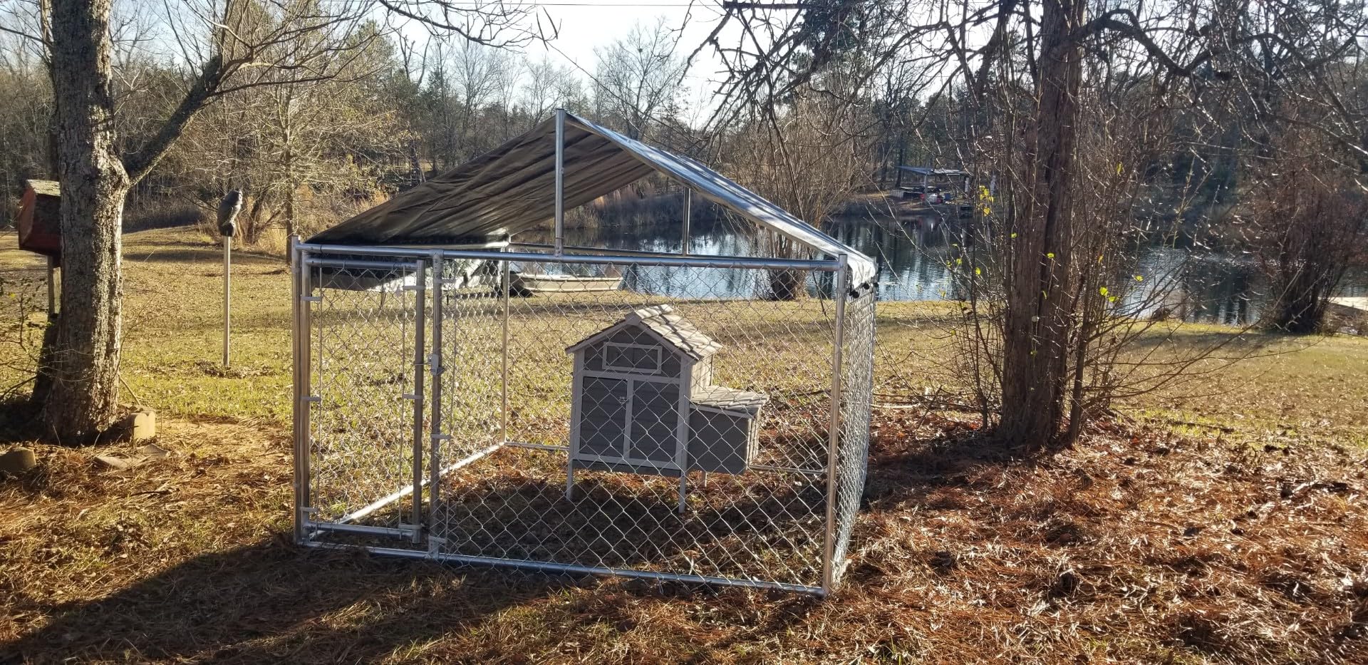 10x10ft Extra Large Dog Kennel Outdoor, Heavy-Duty Outside Dog Kennel with Roof, Security Latch-Lock Door, Chain-Link Dog Enclosure Dog Run for Yard with Cover customer photo 2