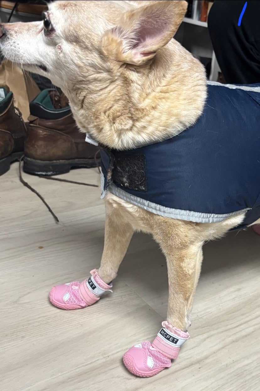 Hcpet Dog Shoes for Dogs, Dog Booties for Dogs, Anti-Slip Dog Boots & Paw Protectors for Hot Pavement Winter Snow Hiking with Reflective Straps customer photo 2