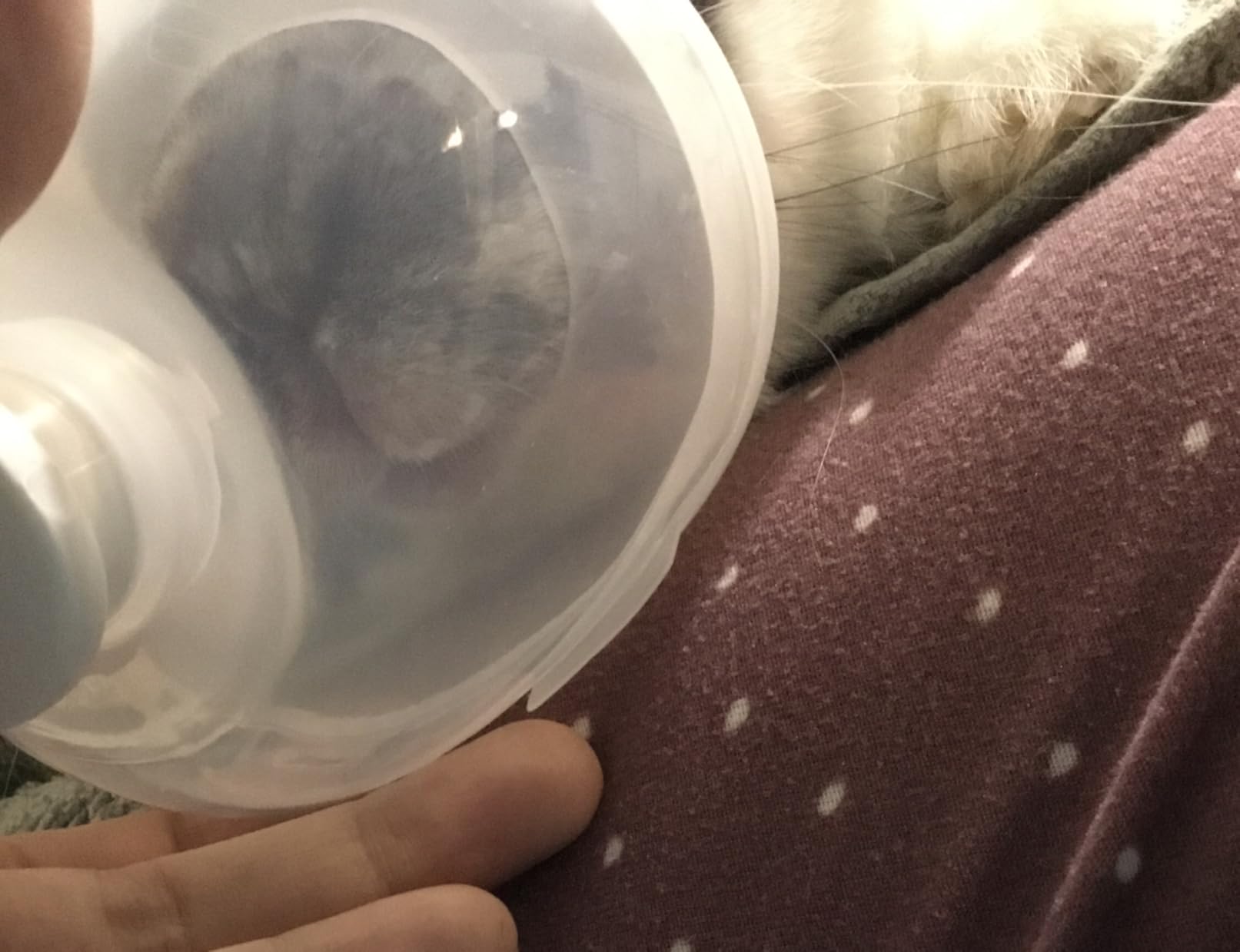 Cat Inhaler Mask, Oxygen Mask for Cats and Puppies, Pet Oxygen Mask and Tube, Suitable for Cats and Small Dogs (Equipment Not Included) (S) customer photo 2