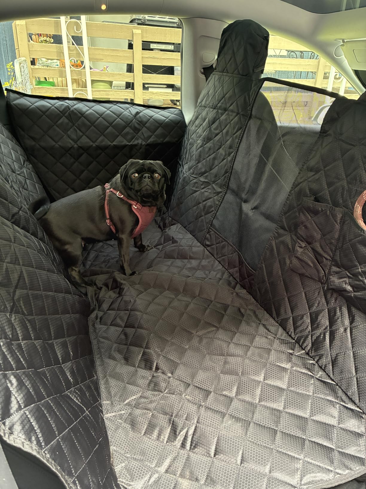 PETICON Dog Seat Covers for Tesla Model 3 & Y Back Seat with 2 Pack Door Protectors, 100% Waterproof Dog Hammock for Tesla with Mesh Window & Headrest Protection Prevents Scratches and Scuffs customer photo 1