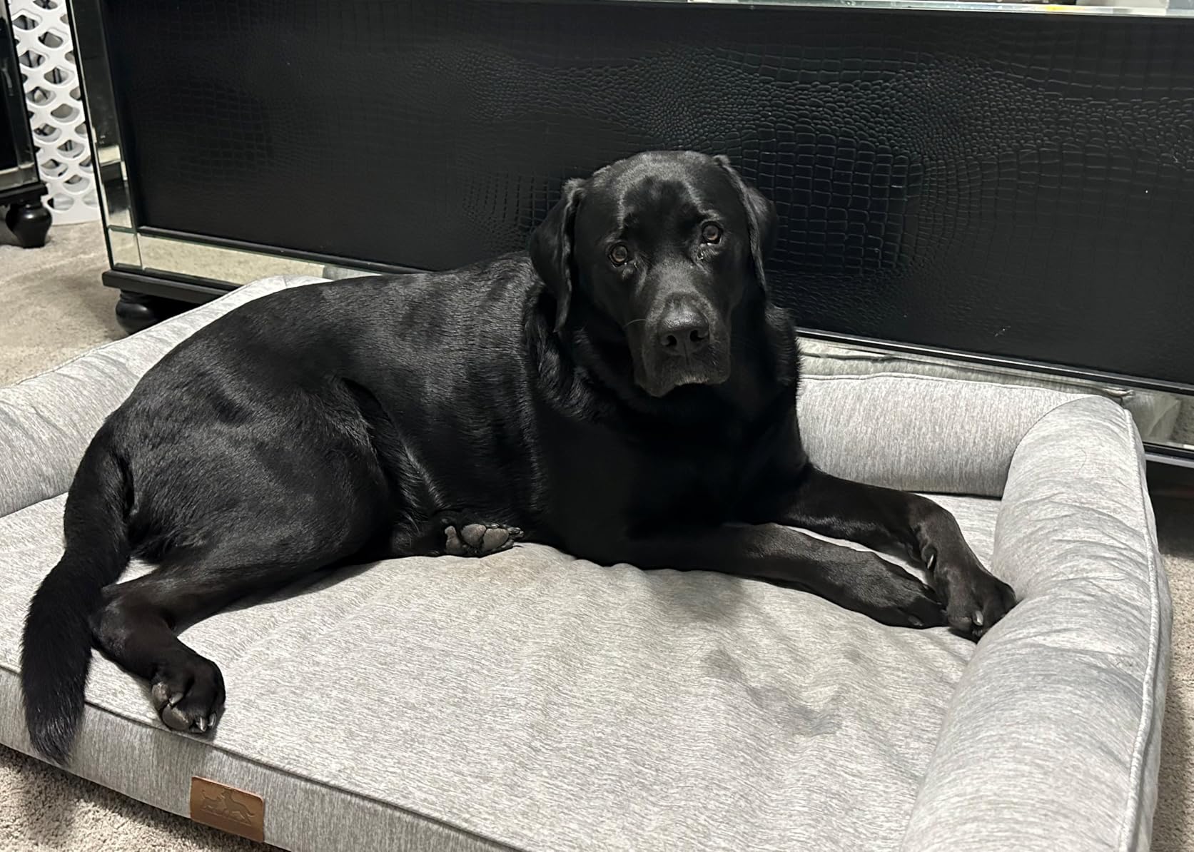 COZY KISS Cooling Dog Bed for Summer, Orthopedic Foam Dog Bed with Sides, Removable Washable Cover & Waterproof Lining, Q-Max >0.4 Cool Pet Beds for Extra Large Dogs, Grey (48″ L x 32″ W x 7.5″ Th) customer photo 1″ class=”wp-image-customer”/></figure>


<p>What impressed me most is the efficient heat dissipation layer that works in conjunction with the cooling fabric. This dual approach to temperature regulation means the bed continues to cool even during extended use. The waterproof middle lining protects the foam from accidents while still allowing breathability.</p>

<p>The lightweight design makes this bed easy to move between rooms or take on trips. At only 4 pounds, I can easily reposition it to follow sunny spots throughout the day or bring it along when visiting family with my dog.</p>


<figure class=