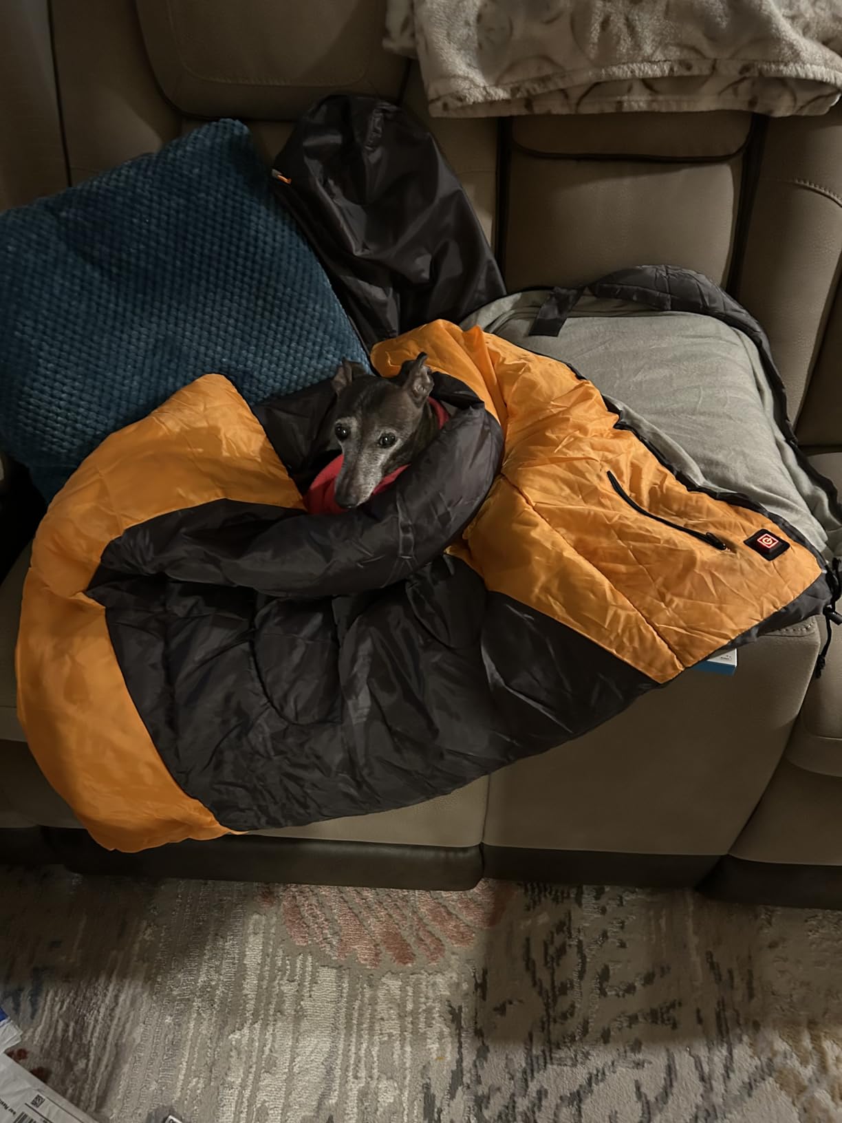 Dog Sleeping Bag Waterproof Warm Packable Dog Bed Mat with Storage Bag for Indoor Outdoor Travel Camping Hiking Backpacking(Grey+Orange,L) customer photo 1