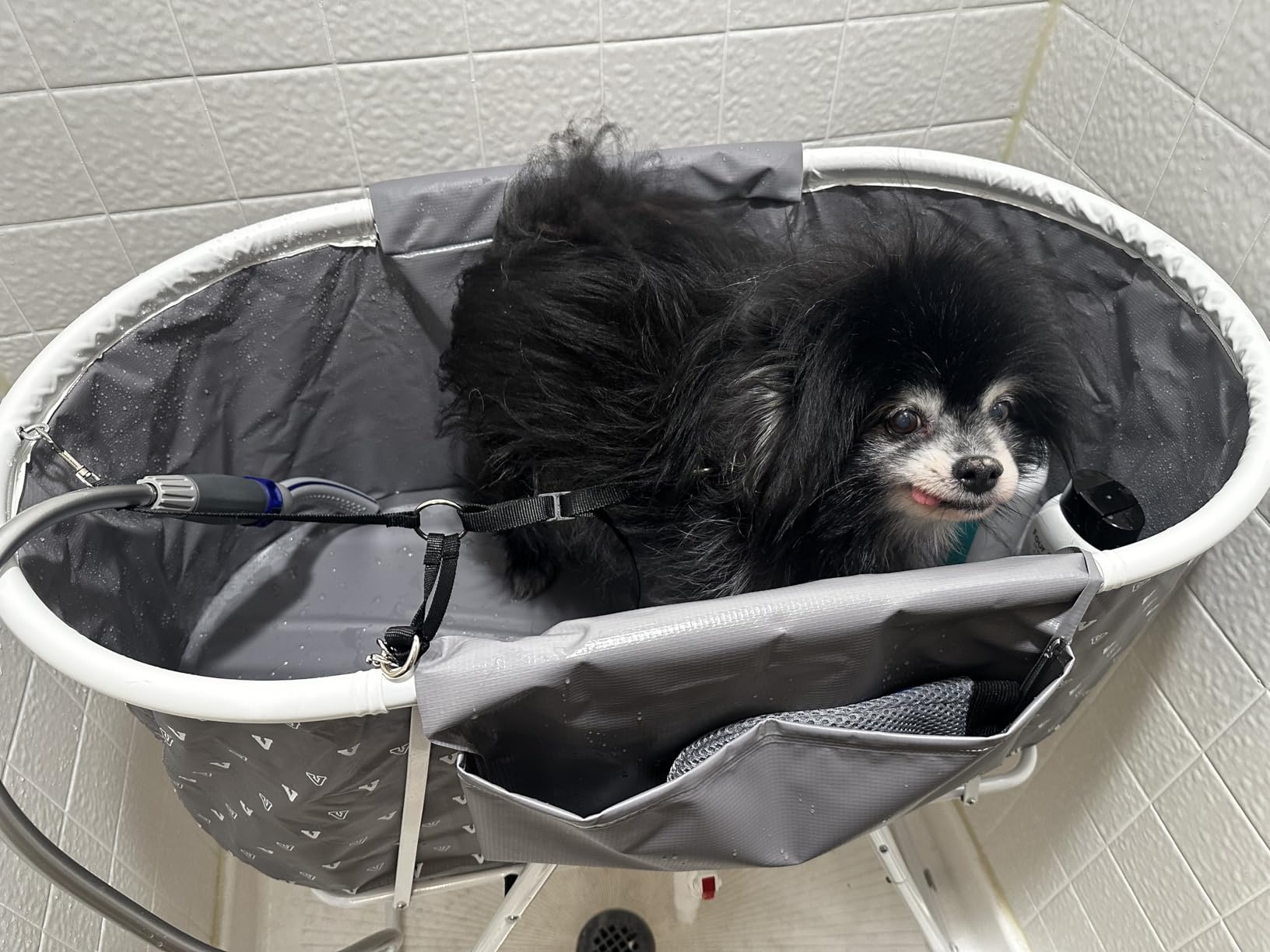VEVOR Portable Dog Bathtub Foldable Pet Shower Station with Drain, Grey customer photo 2