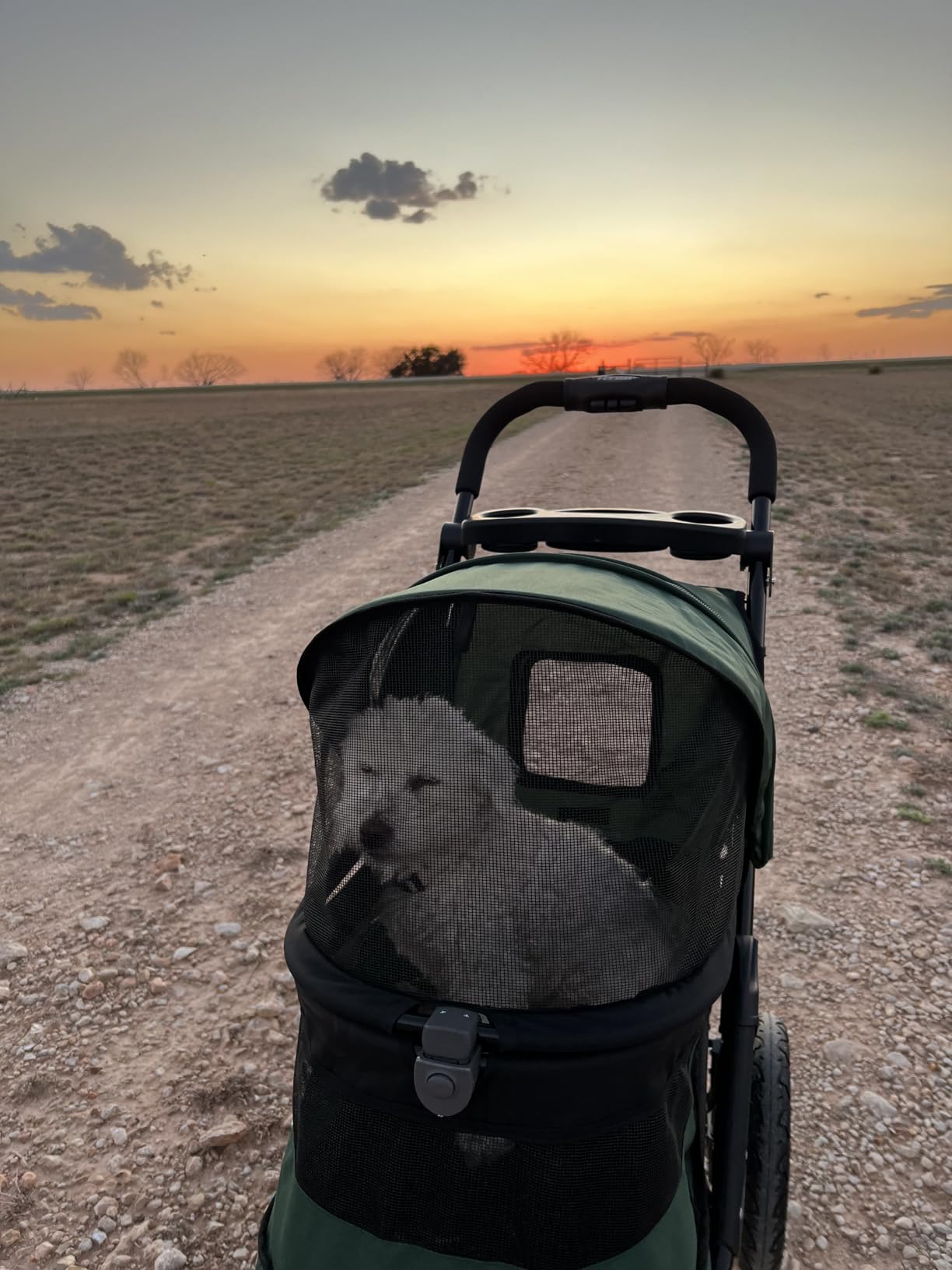 Pet Gear No-Zip Jogger Pet Stroller for Cats/Dogs, Zipperless Entry, Airless Tires, Easy One-Hand Fold, Cup Holder + Storage Basket, Navy customer photo 1