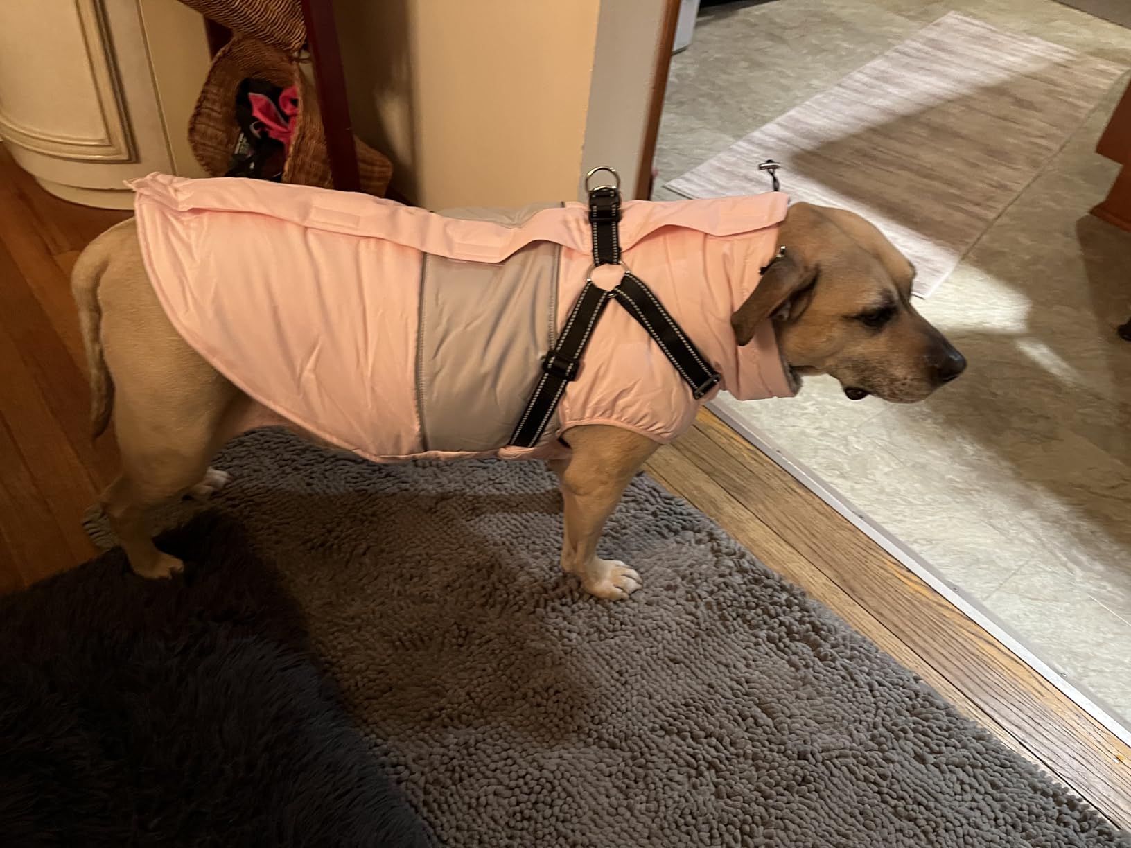 Dog Coat, XXL Dog Jacket Winter with Harness Built in, Waterproof Pet Snow Jacket with Furry Collar for Chilly Day, Reflective Fleece Snowsuit for Extra Large Dogs, Burgundy 2XL customer photo 1
