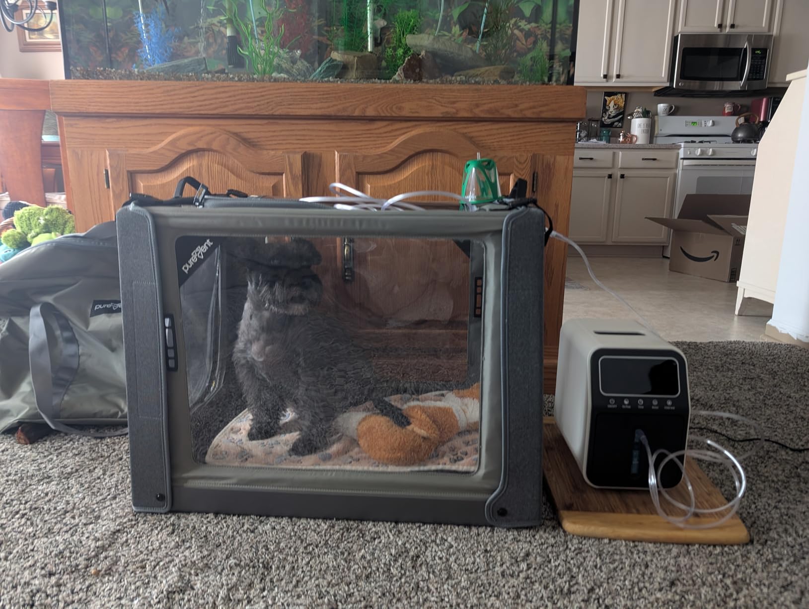 PureVent Pet Oxygen Chamber - Safe Veterinary-Grade Oxygen Therapy Cage for Dogs, Cats, Birds and Animals - Built-in Ventilation for Pets up to 30lbs customer photo 2