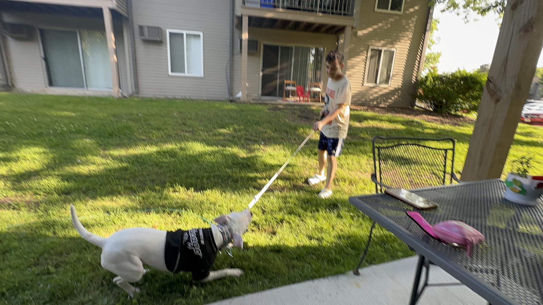 Flirt Pole for Dogs Interactive Dog Toys Durable Heavy Duty Dog Flirt Pole Suitable for Small and Medium Dogs Great Exercise and Training Tool Multifunction Dog Enrichment Toys customer photo 1