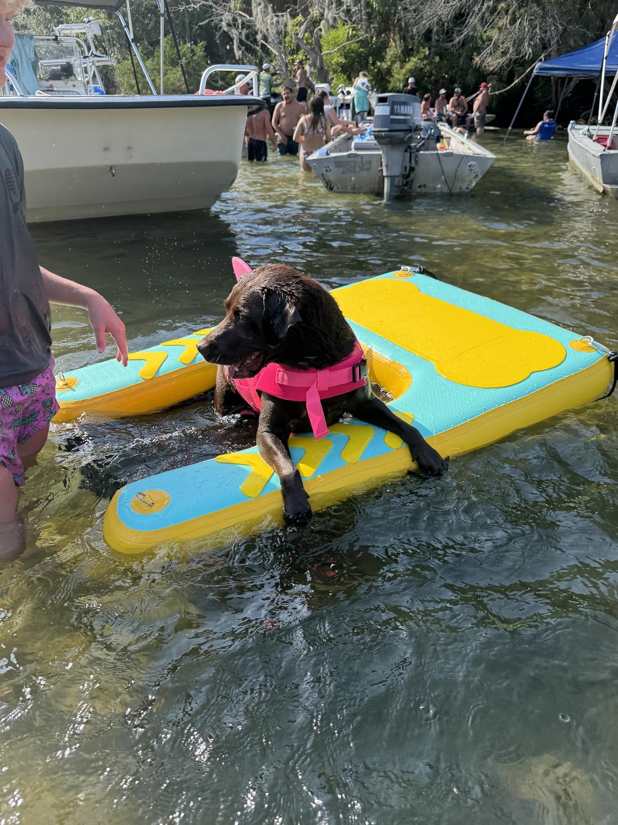 Inflatable Dog Pool Float Ramp - 60'' x 40'' Floating Dock Platform for Dogs Up to 240 lbs, Non-Slip EVA Floating Platform with Water Ramp Ladder Dog Pool Ramps Float for Pool, Dock, Lake, Boat customer photo 1
