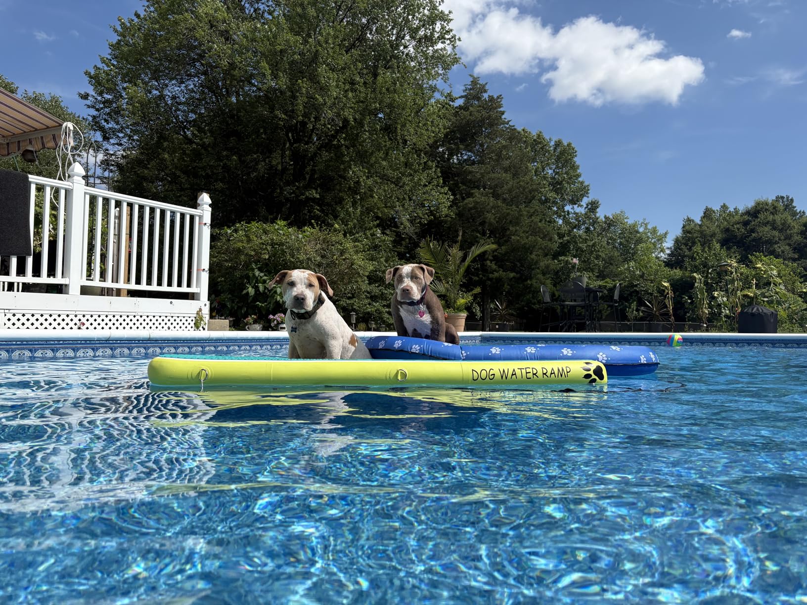 2 in 1 Dog Pool Float & Water Ramp,Upgrated Inflatable Dog Boat Ramp,63