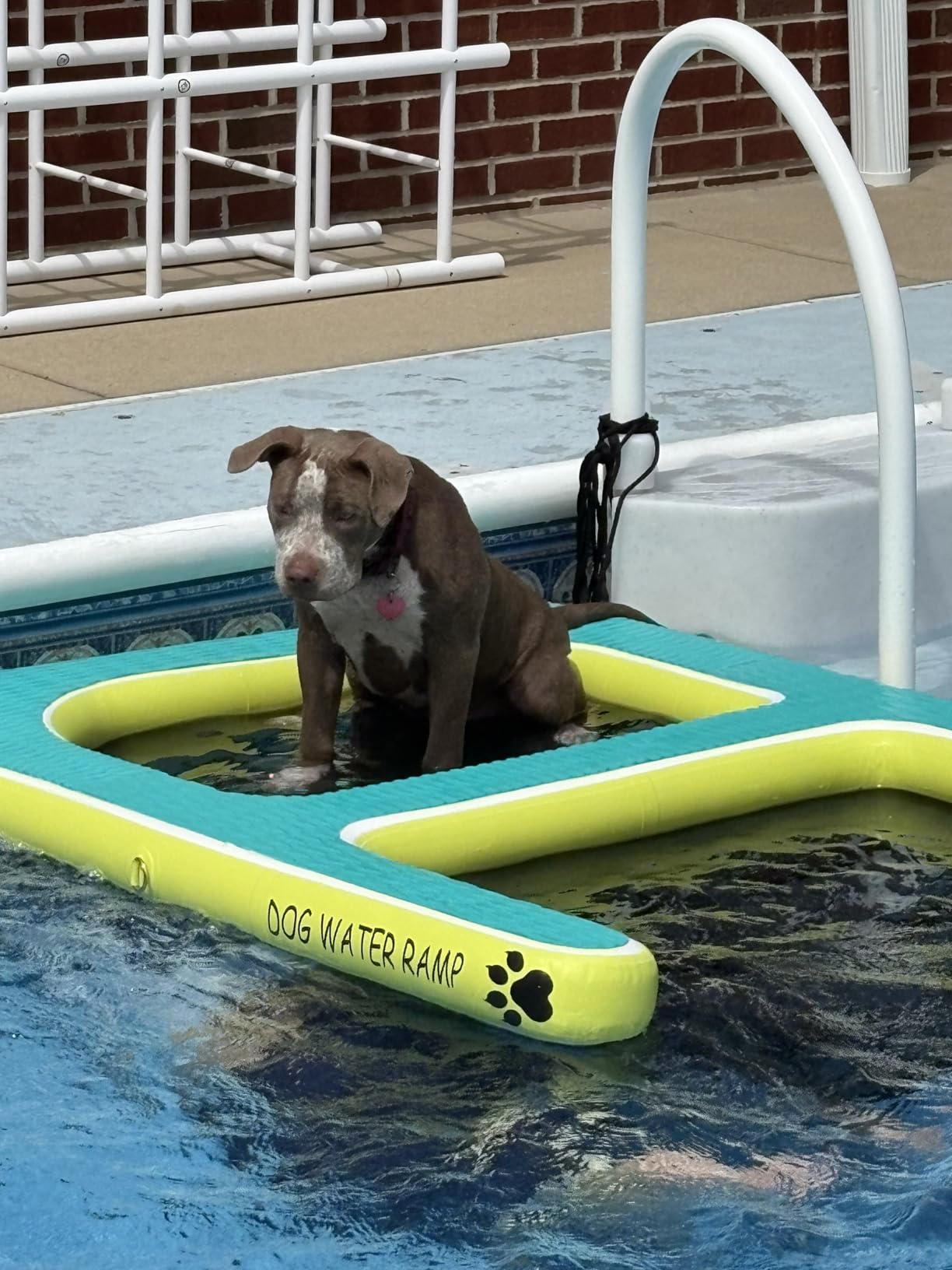 2 in 1 Dog Pool Float & Water Ramp,Upgrated Inflatable Dog Boat Ramp,63