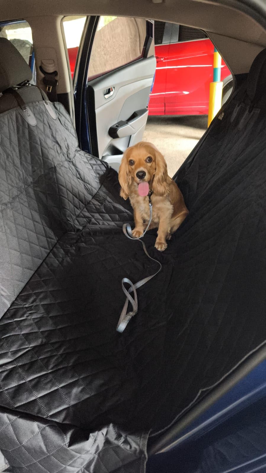 Petloox Dog Car Seat Cover for Back Seat, Waterproof Hammock for Car, SUV & Truck, Non-Slip Backseat Cover for Dogs, Heavy-Duty Dog Hammock Style Seat Protector Pets, Easy to Install & Clean customer photo 2