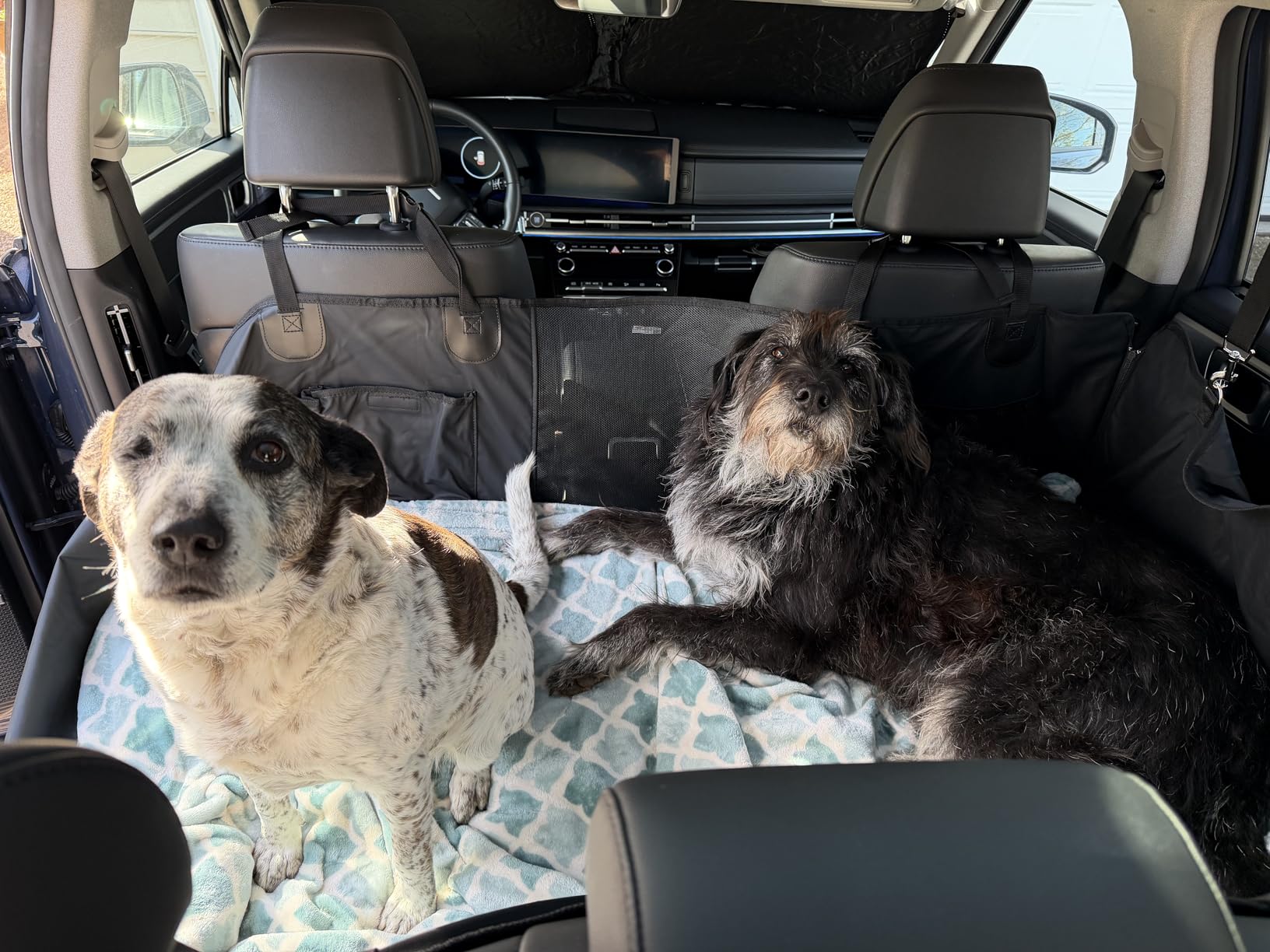 HOB4U Back Seat Extender for Dogs, PU Leather Dog Car Seat Cover for Back Seat with Hard Bottom, 100% Waterproof, Scratch Proof and Anti Slip Dog Hammock for Cars and SUVs, Holds 400 lbs customer photo 1