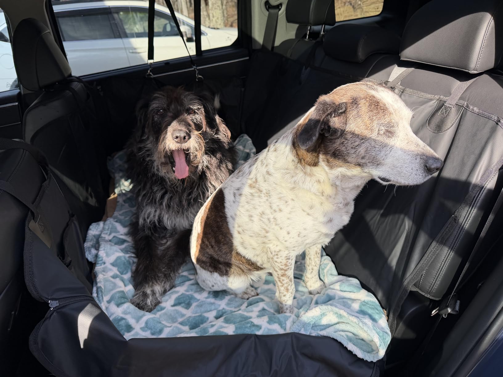 HOB4U Back Seat Extender for Dogs, PU Leather Dog Car Seat Cover for Back Seat with Hard Bottom, 100% Waterproof, Scratch Proof and Anti Slip Dog Hammock for Cars and SUVs, Holds 400 lbs customer photo 2