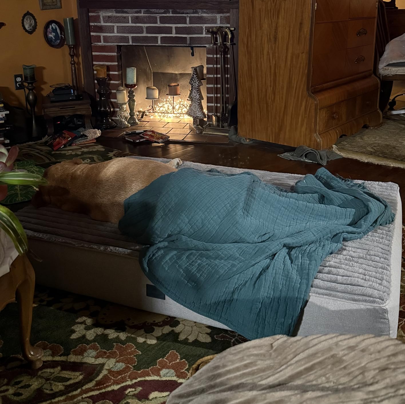 Veehoo Orthopedic Memory Foam Dog Bed, 7 Inch Thick Extra Large XXL Dog Bed for Senior Dogs with Ultra-Soft Fluffy Surface, Waterproof Liner, Removable Washable Cover and Non-Slip Bottom, 52