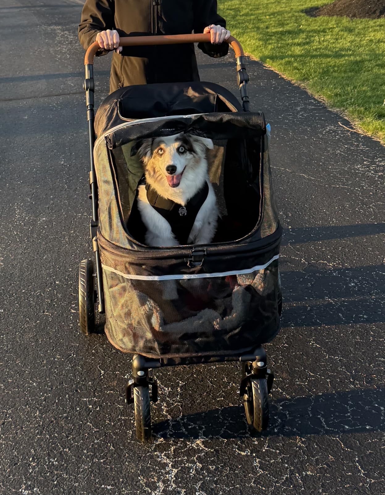 Zoosky Pet Stroller for Large Dogs up to 110lbs, Large Pet Stroller | Multiple Pets (31L), All-Terrain & Adjustable Handle & Mesh Dual-Window, 1680D Waterproof Oxford Fiber, Low Entry for Seniors customer photo 2