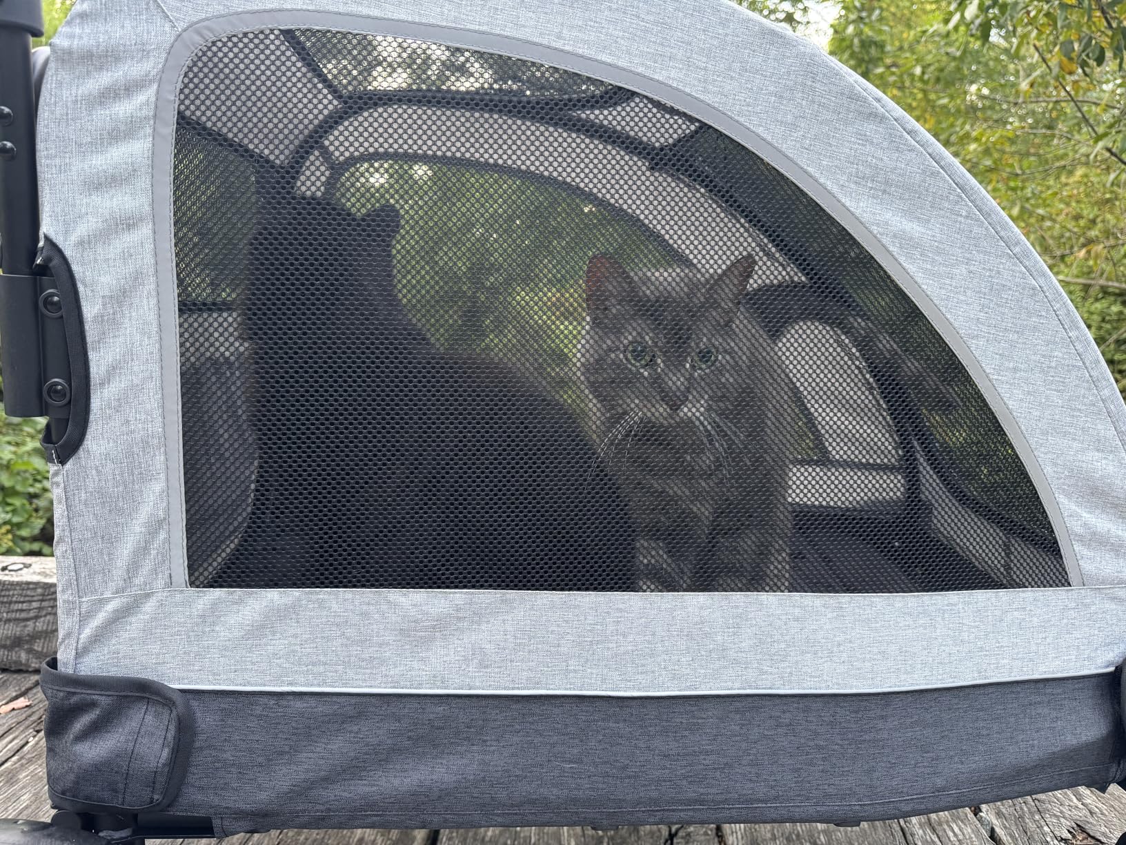 Large Dog Stroller - Dual Entry Safety Folding Pet Stroller with Adjustable Handle, All-Terrain 4-Wheel, 160 lbs Weight Capacity for Travel & Outdoor Adventures customer photo 1