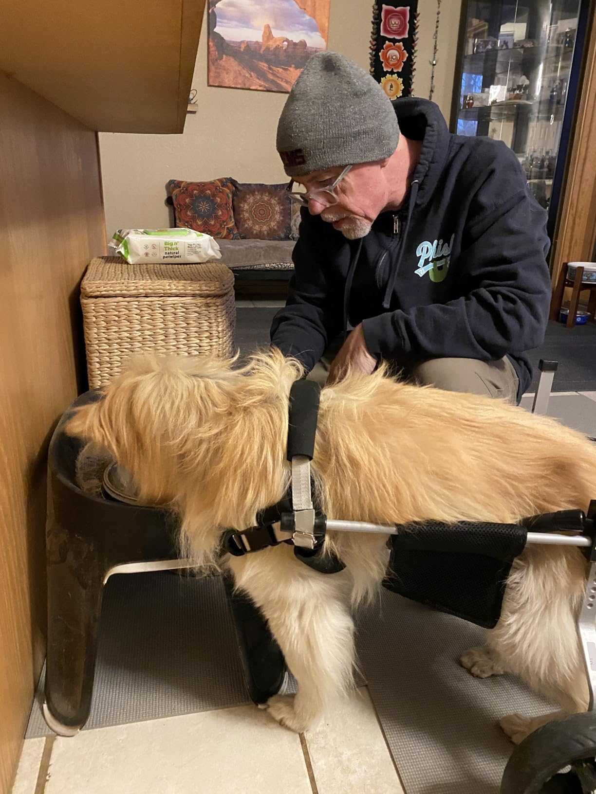 All-Terrain Dog Wheelchair for Back Legs - Lightweight & Adjustable for Medium to Large Dogs - Easy to Assemble Mobility Aid customer photo 1