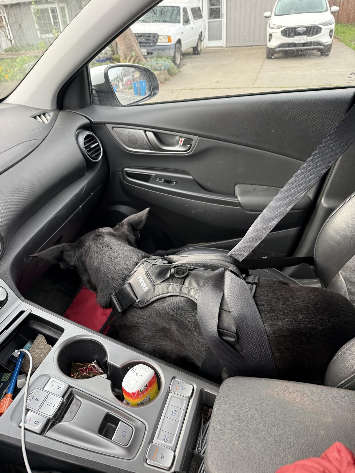 Thule Cappy Dog Harness L - Crash-Tested for Safety - Seatbelt passthrough - Adjustable & Easy to Clean - Padded Breathable mesh Panels - Leash Loop - Step-in Design customer photo 1
