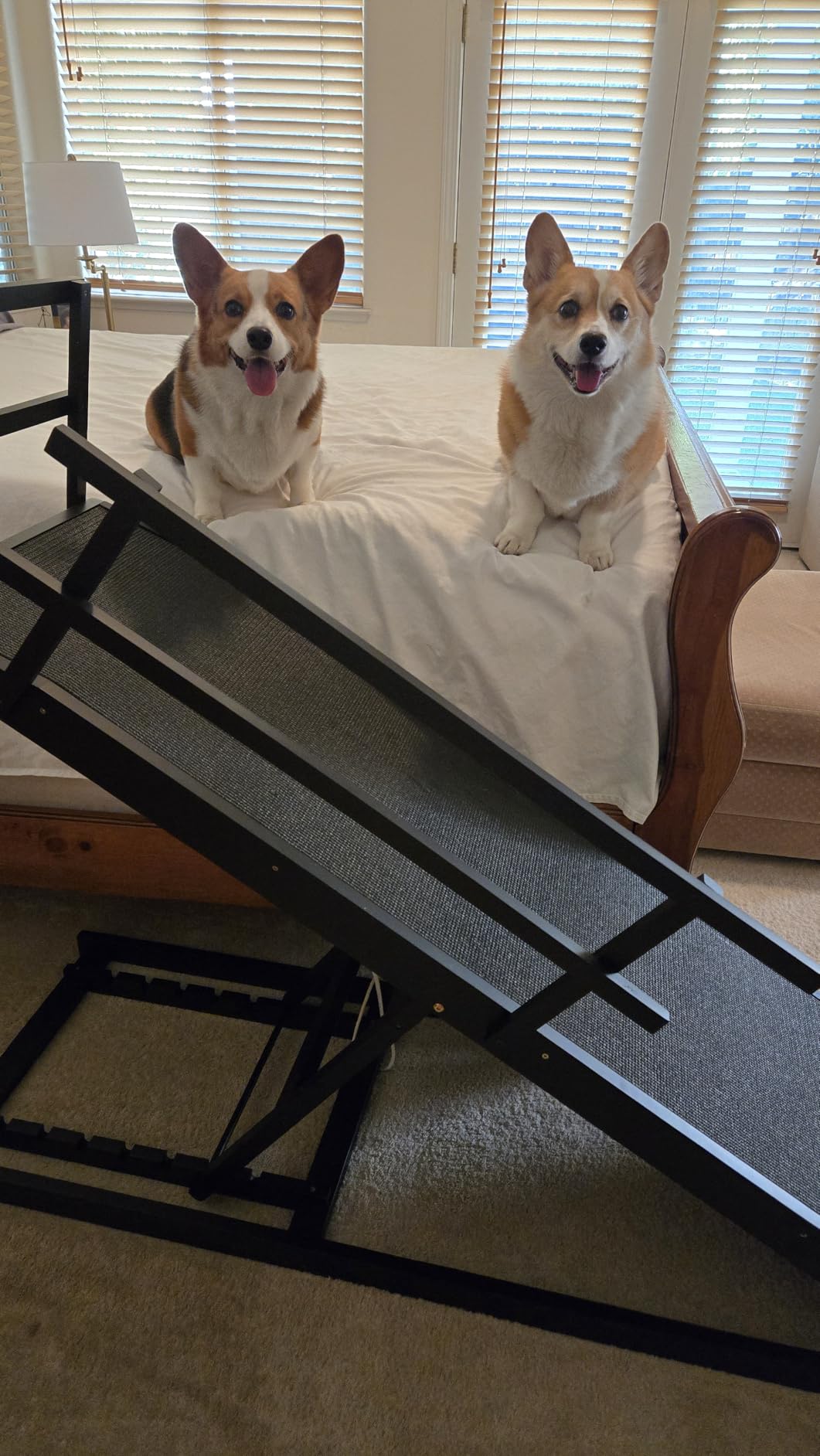 Dog Ramp for Bed with Safety Rails for High Beds up to 37 inch - Extra Wide 19.5 inch Adjustable Dog Bed Ramp for Large Dogs up to 200 lbs - Solid Birchwood, Non-Slip Rubber Surface, Foldable Design - Black customer photo 2
