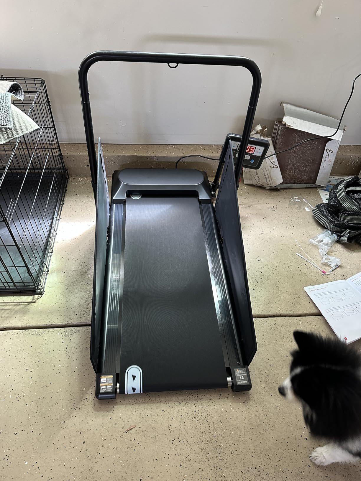 Petbobi Dog Treadmill for Small & Medium Dogs- Quiet Indoor Pet Exercise Machine with 360 Degree Rotatable Display, Remote Control & Wheels, Heavy-Duty 265 lbs Capacity for Fitness & Weight Management customer photo 2