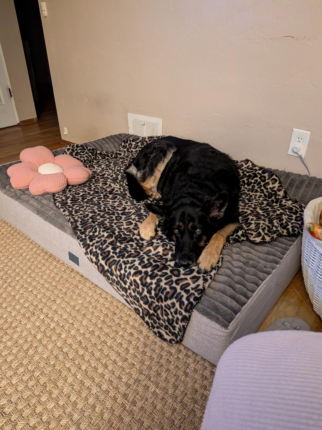 Veehoo Orthopedic Dog Bed for Large Senior Dogs, 7 Inch Thick XXL Memory Foam Dog Bed with L Shaped Bolsters, Orthopedic Pet Couch with Waterproof Liner & Removable Washable Cover, 52