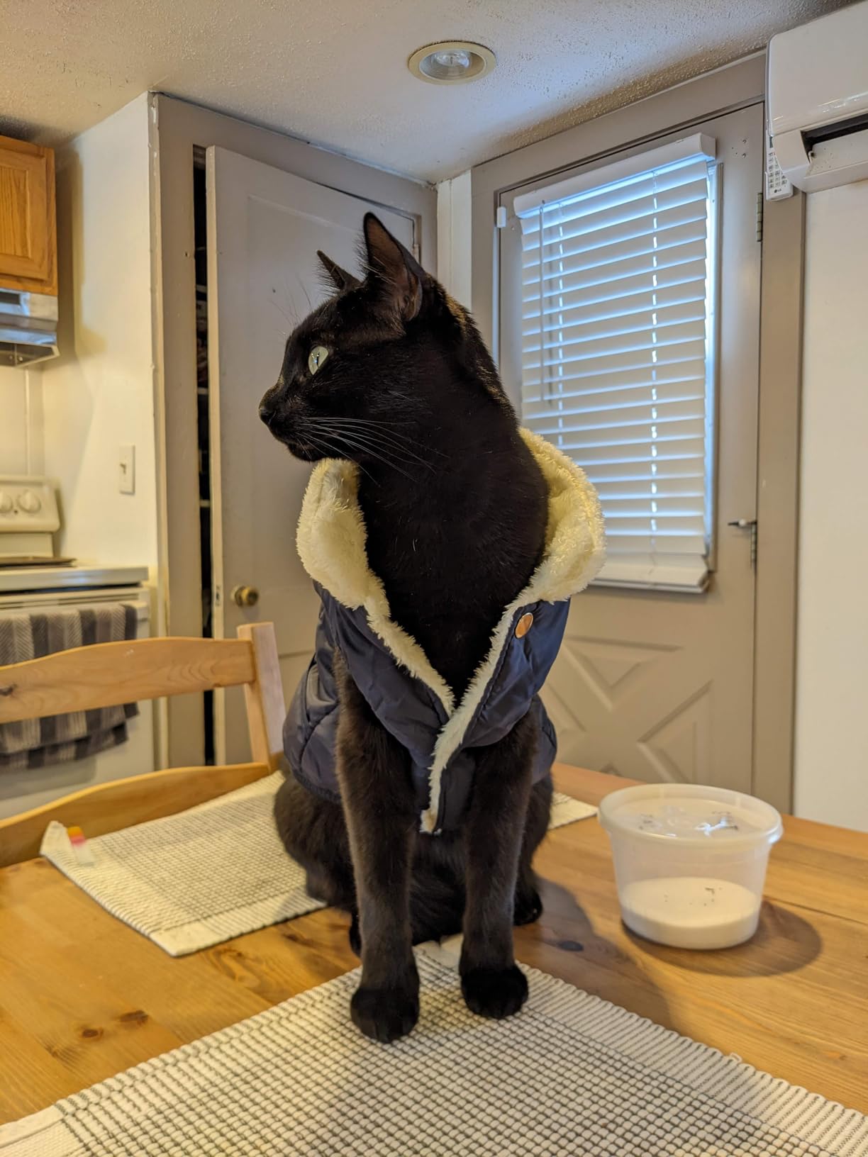 JoyDaog Dog Jacket with Harness, Fleece Lined Warm Puppy Coat for Winter, Soft Windproof Large Dog Vest, Black XXL customer photo 2